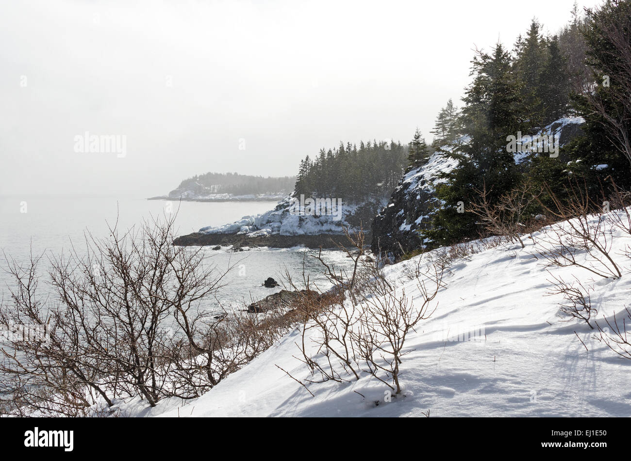 Winter am Morgen Schneefall im Acadia National Park, Bar Harbor, Maine. Stockfoto