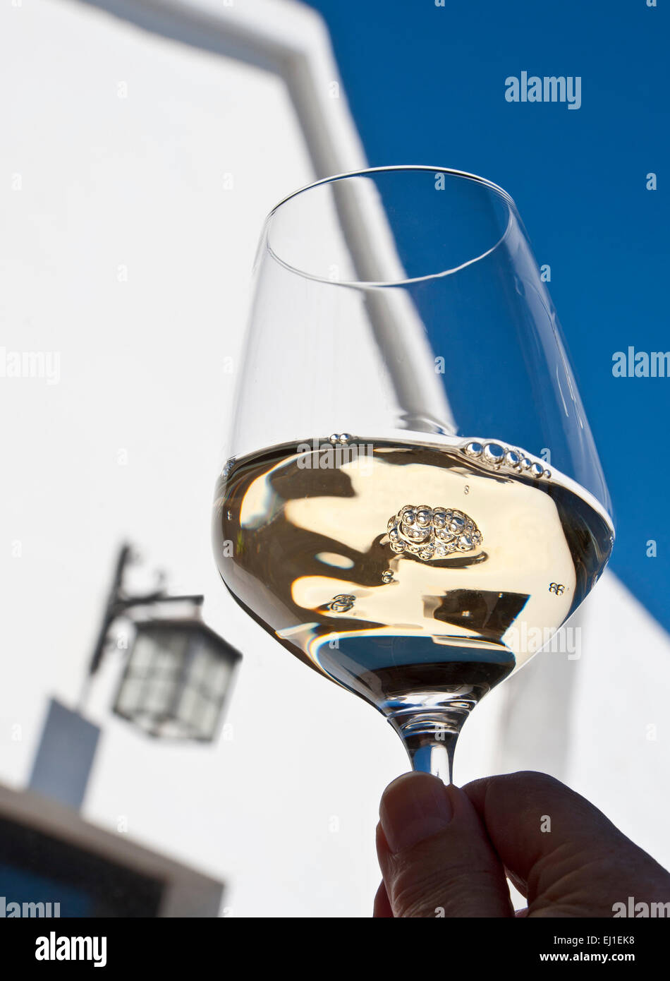 Weißwein im Freien Degustationsglas belüftter gekühlter Weißwein Im Freien unter freiem Himmel sonnige Weinprobe Weingut Lage Stockfoto