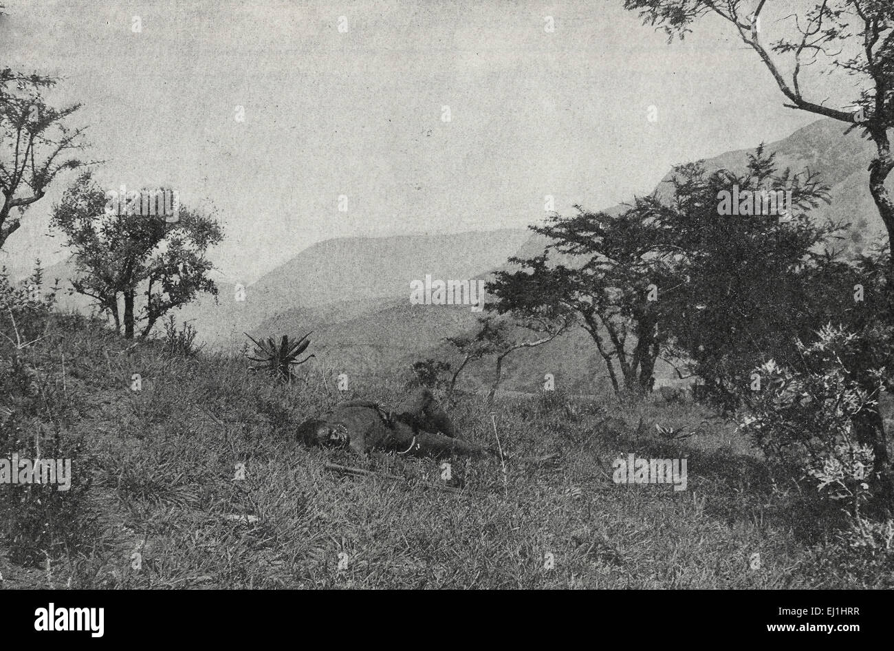 Warten auf die Geier - Native Krieger liegend tot und Unbegrabene Gras - Südafrika - ca. 1895 Stockfoto