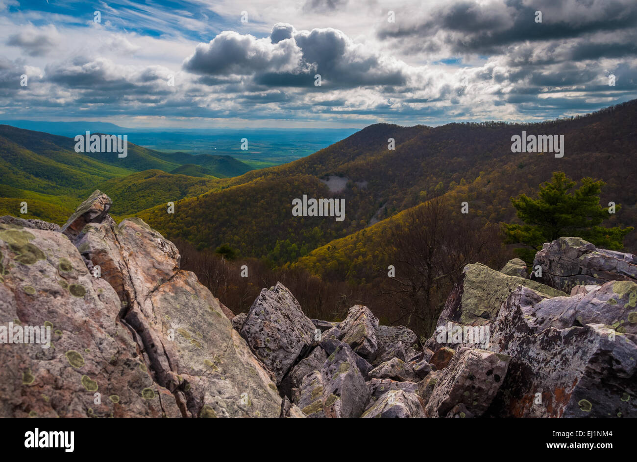 Blick vom Felsbrocken bedeckten Gipfel Schwarzfels im Shenandoah-Nationalpark, Virginia. Stockfoto