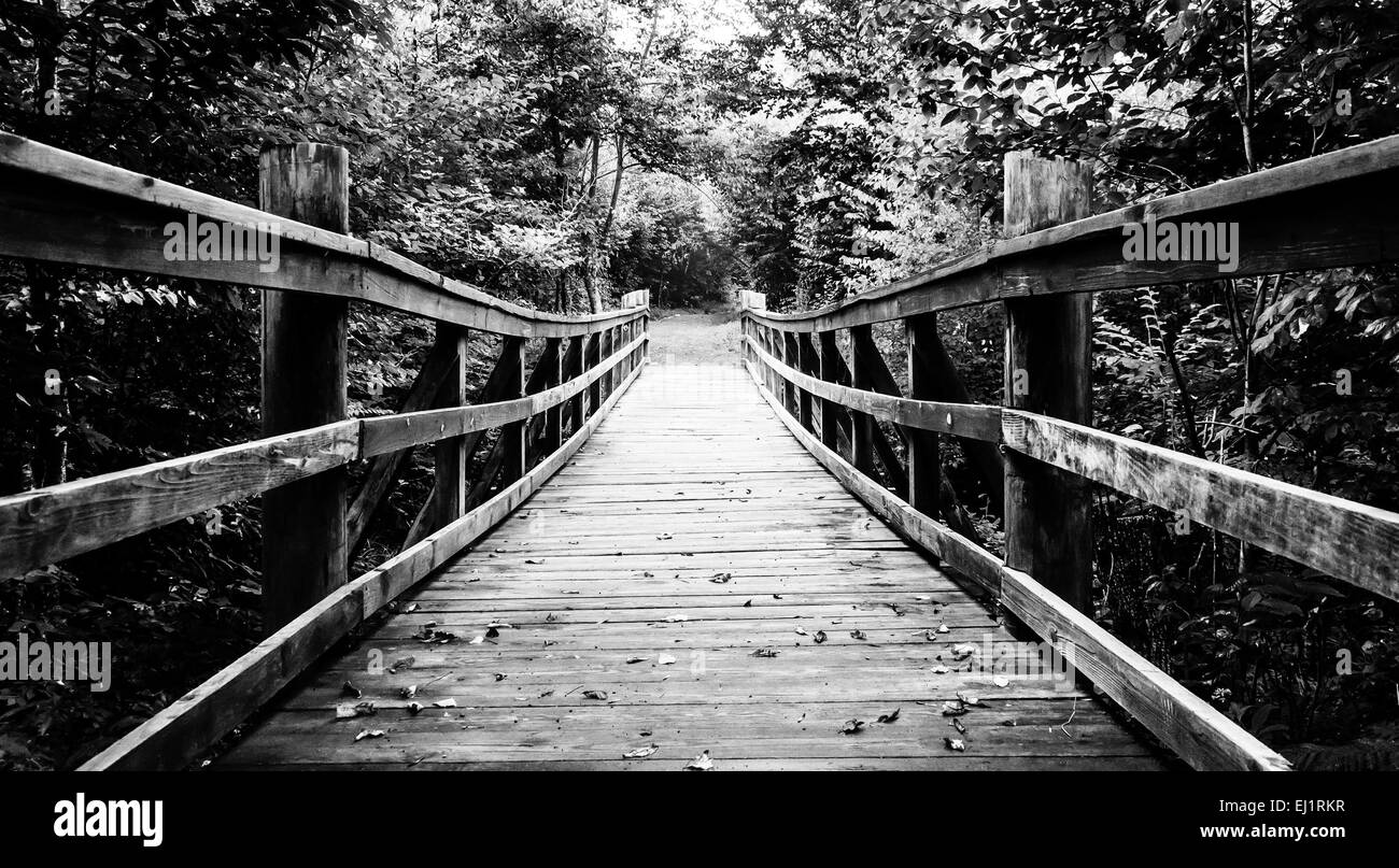 Fußgängerbrücke am Limberlos Trail in Shenandoah-Nationalpark, Virginia. Stockfoto