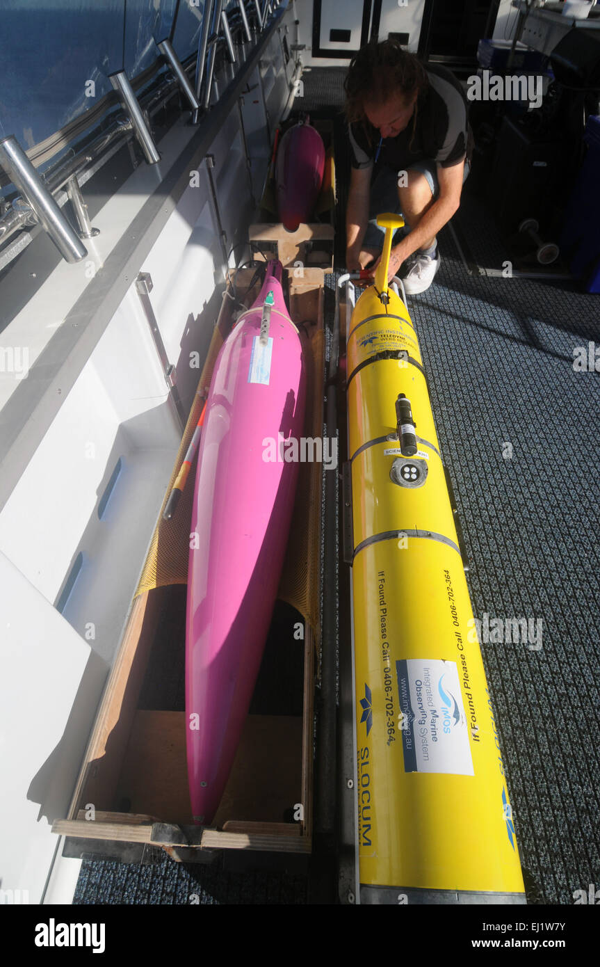 Techniker, die Vorbereitung verschiedener Arten von Meer Segler vor der Bereitstellung in den Indischen Ozean. Weder Herr PR Stockfoto