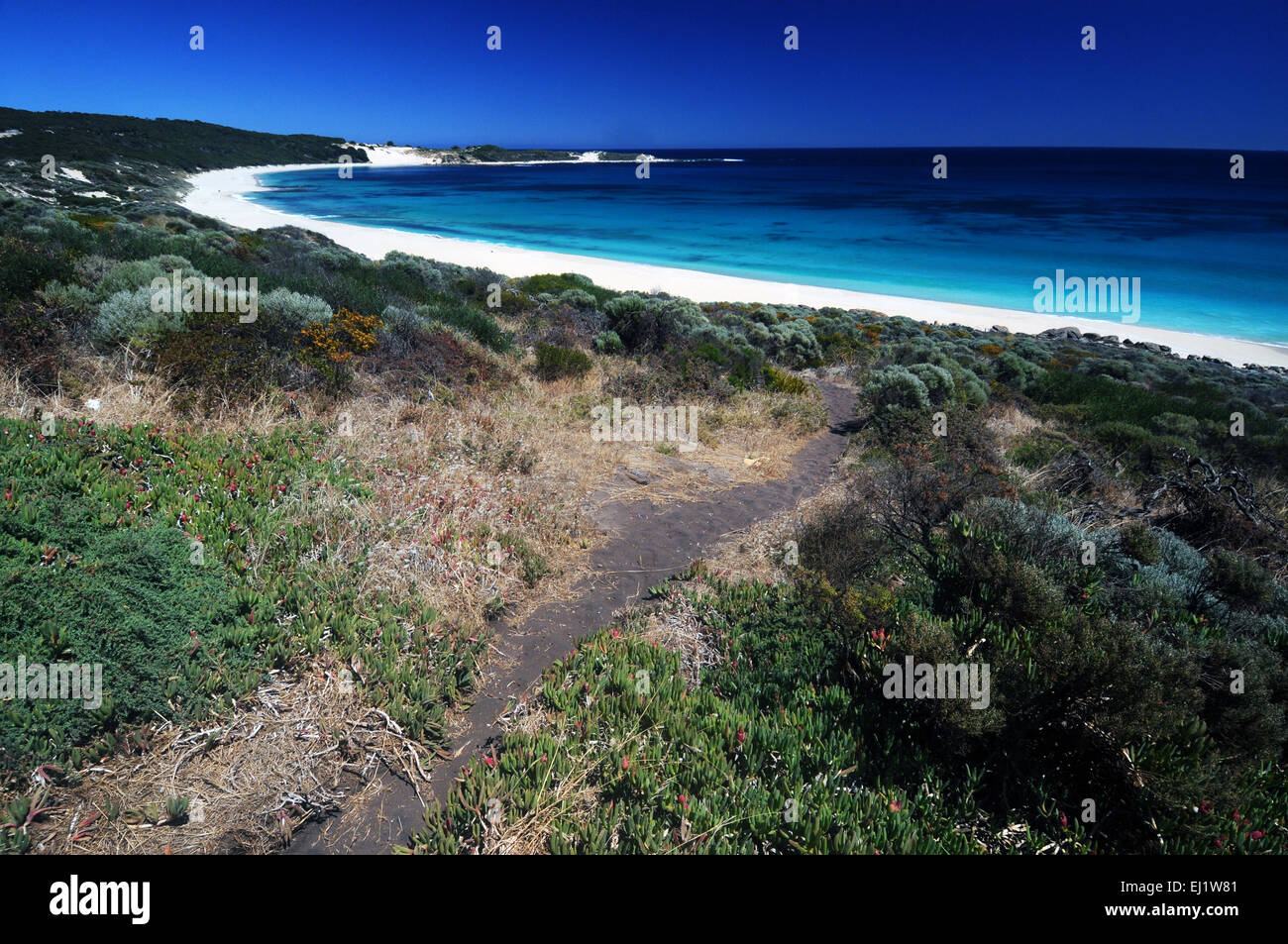 Spüren Sie auf, Injidup Beach, Cape Clairaut, Leeuwin Naturaliste Nationalpark, Margaret River Region, Western Australia Stockfoto