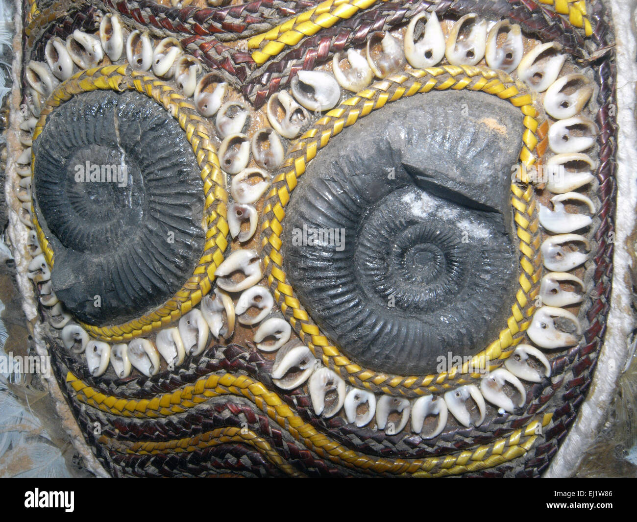 Ammonite Fossilien eingearbeitet traditionelle alte West Papua Maske, West Papua, Indonesien Stockfoto