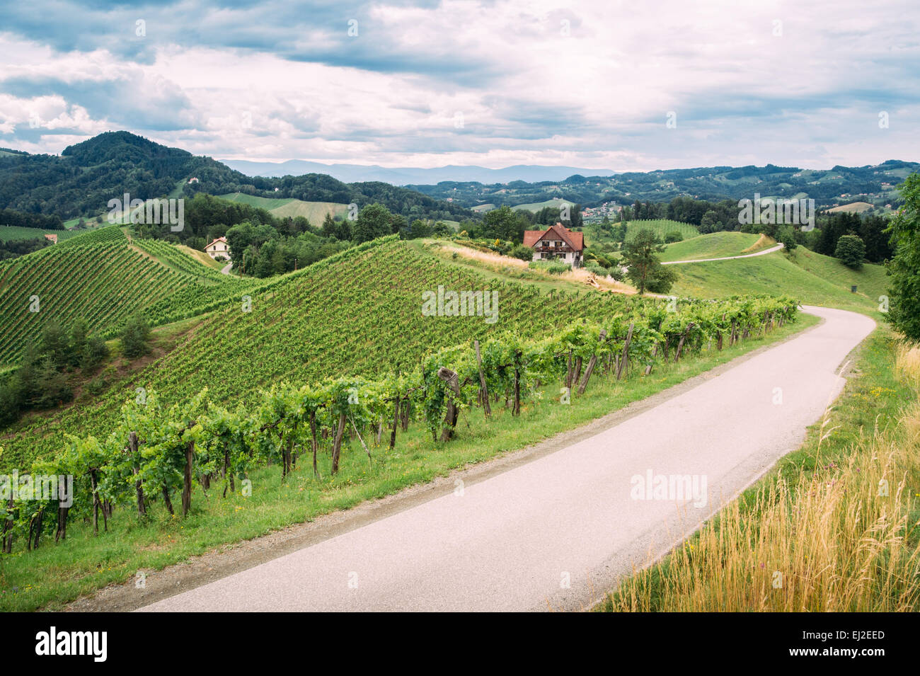 Weinlehrpfad in der Südsteiermark Stockfoto