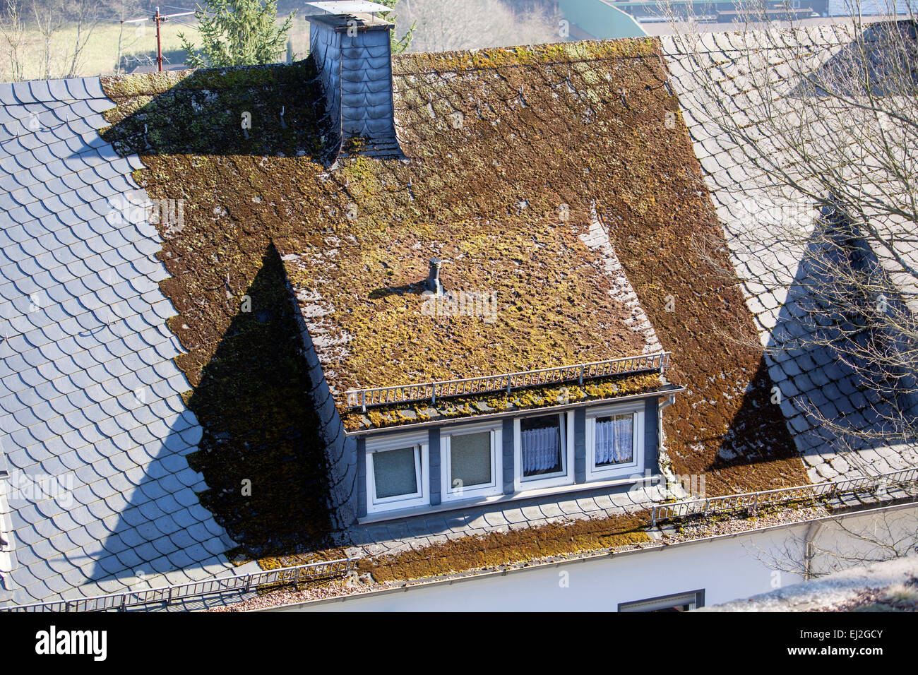 neues Schieferdach ohne Moos und alte Dach mit Moos, North Rhine-Westphalia, Germany, Europe, Stockfoto