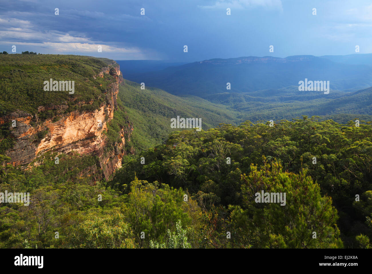 Die Blue Mountains in New South Wales, Australien Stockfoto