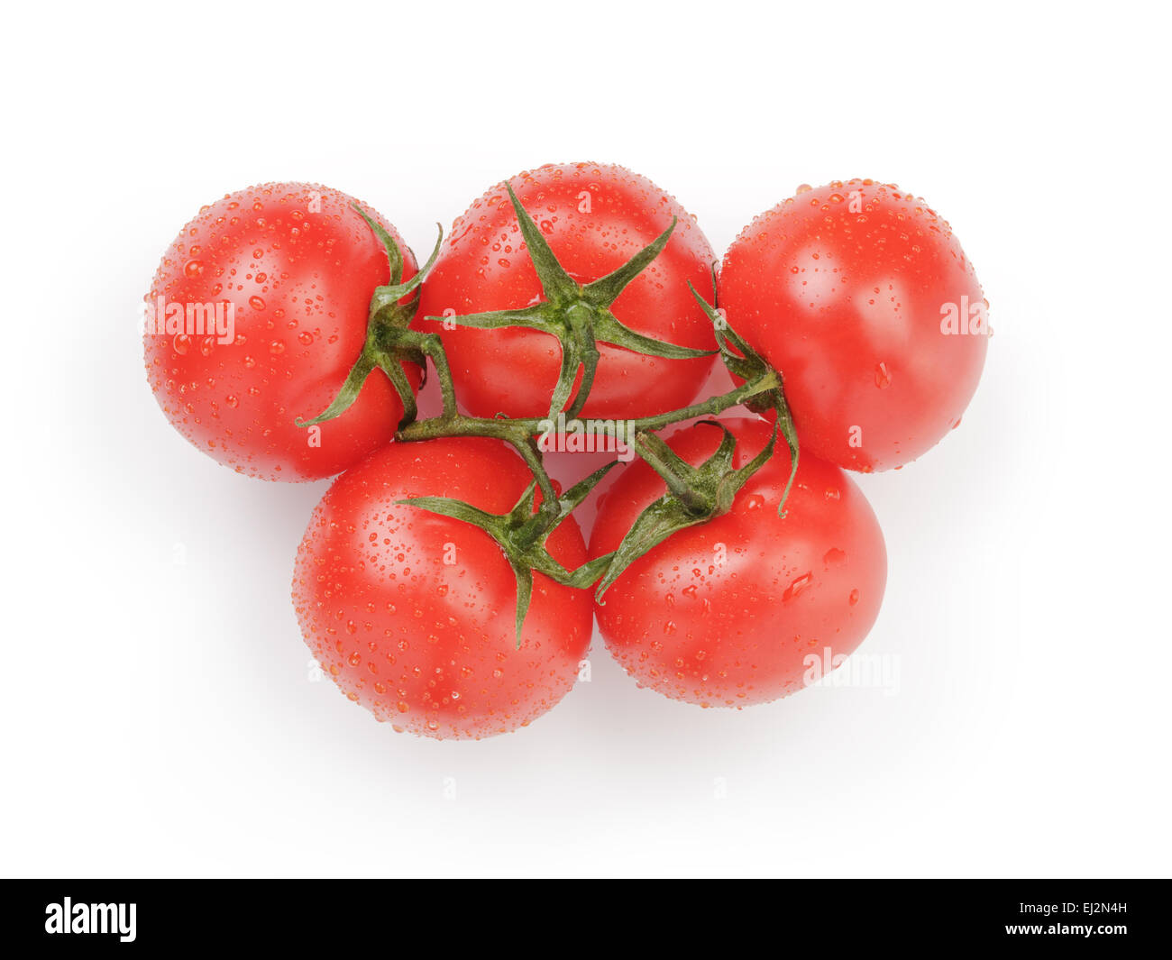 Reife nasse rote Tomaten mit Niederlassung von oben auf weiß Stockfoto