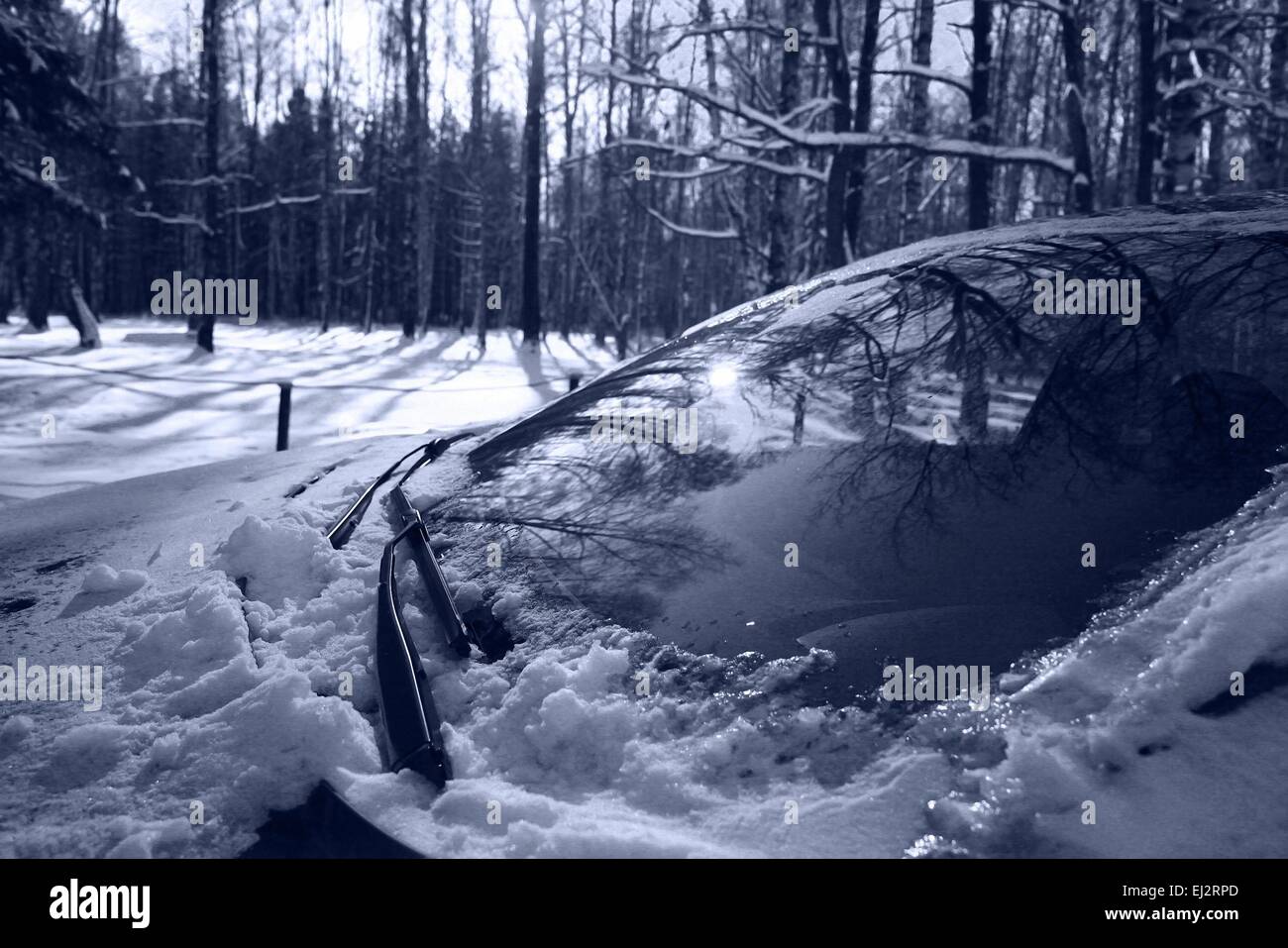 Winterdienst in verschneite Waldlandschaft Stockfoto