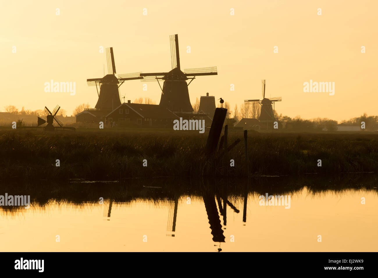 Nebligen Windmühle Silhouetten bei Sonnenuntergang. Niederlande. Europa Stockfoto