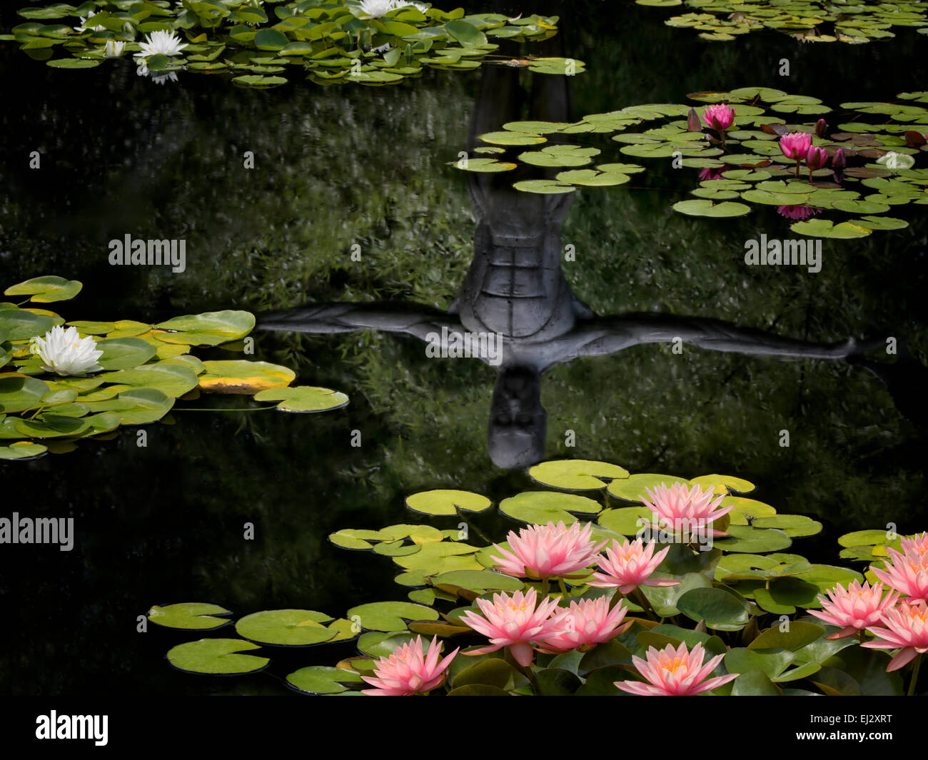 Seerosen im Teich mit Reflexion der Skulptur. Oregon Stockfoto