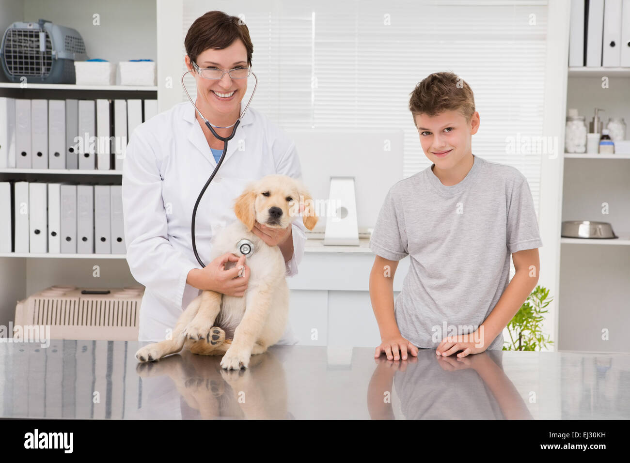 Tierarzt untersucht einen Hund mit seinem Besitzer Stockfoto