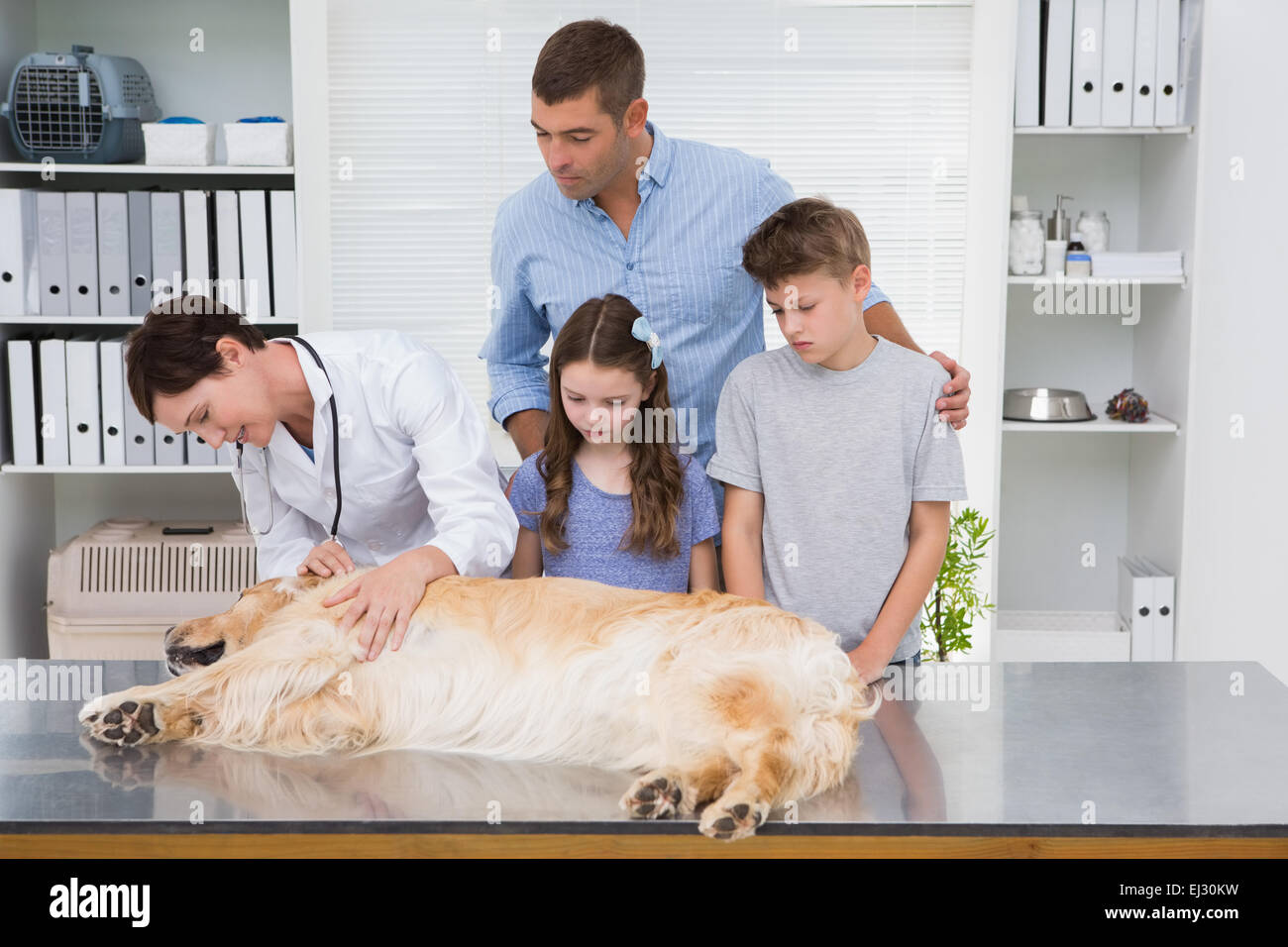 Lächelnde Tierarzt untersuchen einen Hund mit seiner Angst Besitzer Stockfoto
