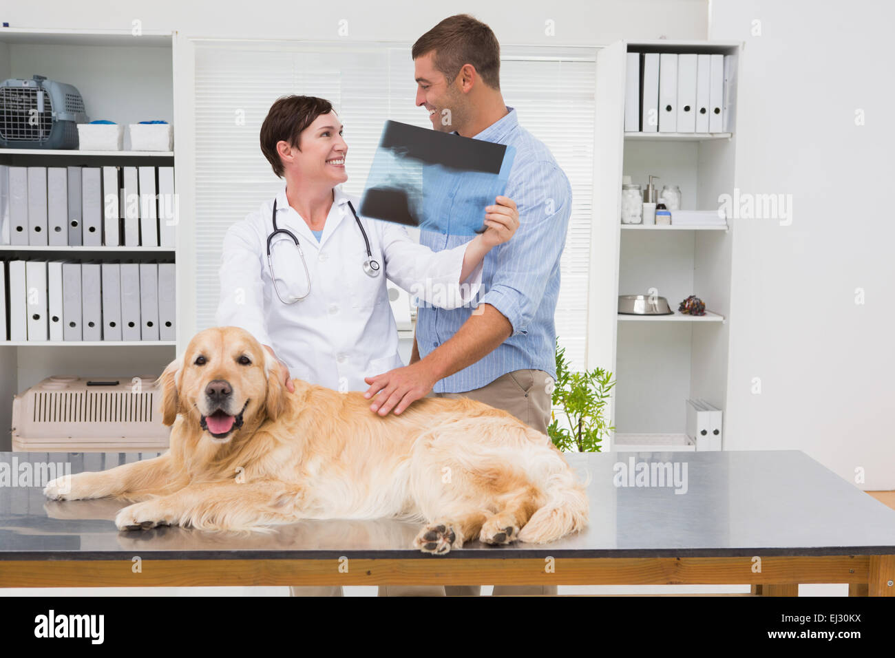 Tierarzt, Röntgen, Hundebesitzer zeigen Stockfoto