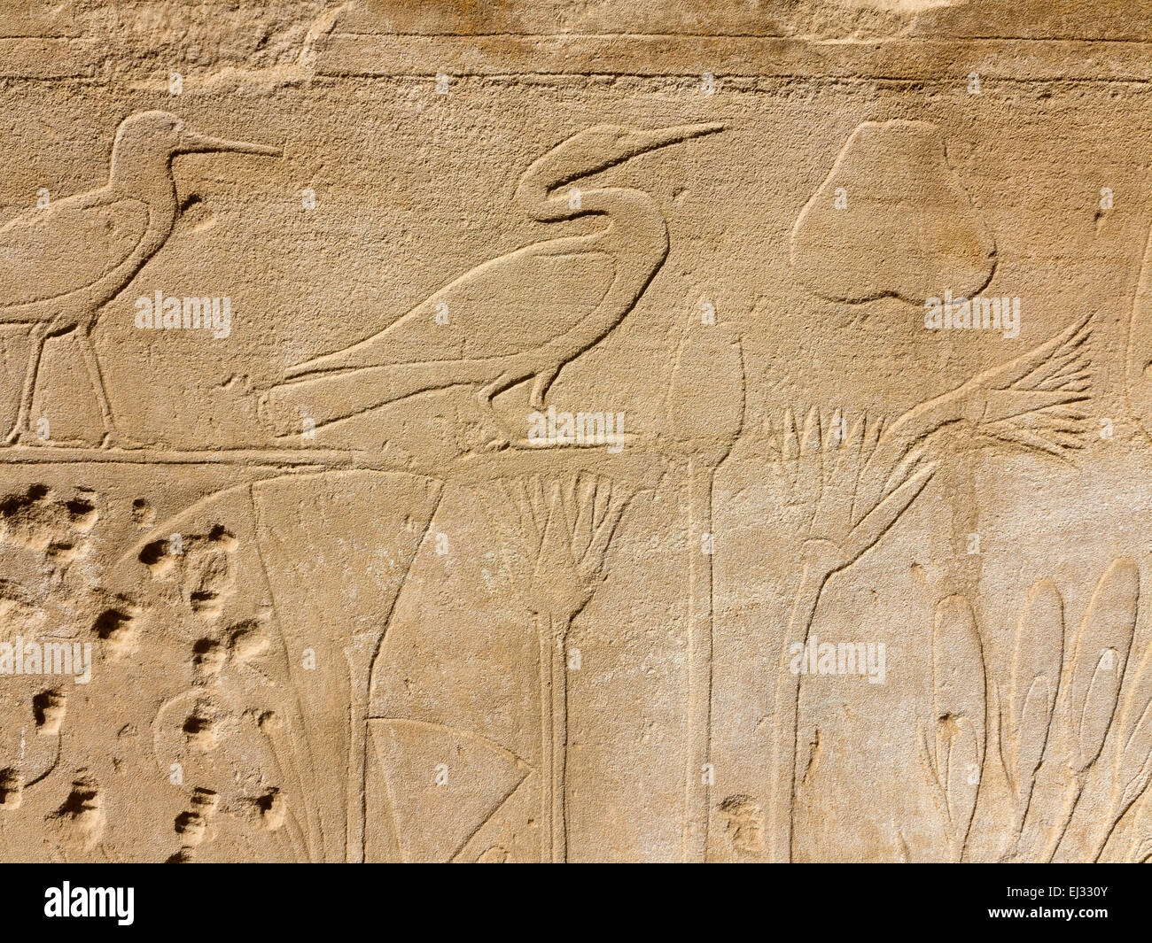Reliefs an den Wänden des Botanischen Gartens in der Festhalle, Akh Menou von Thutmose in Karnak Tempel Luxor Ägypten Stockfoto