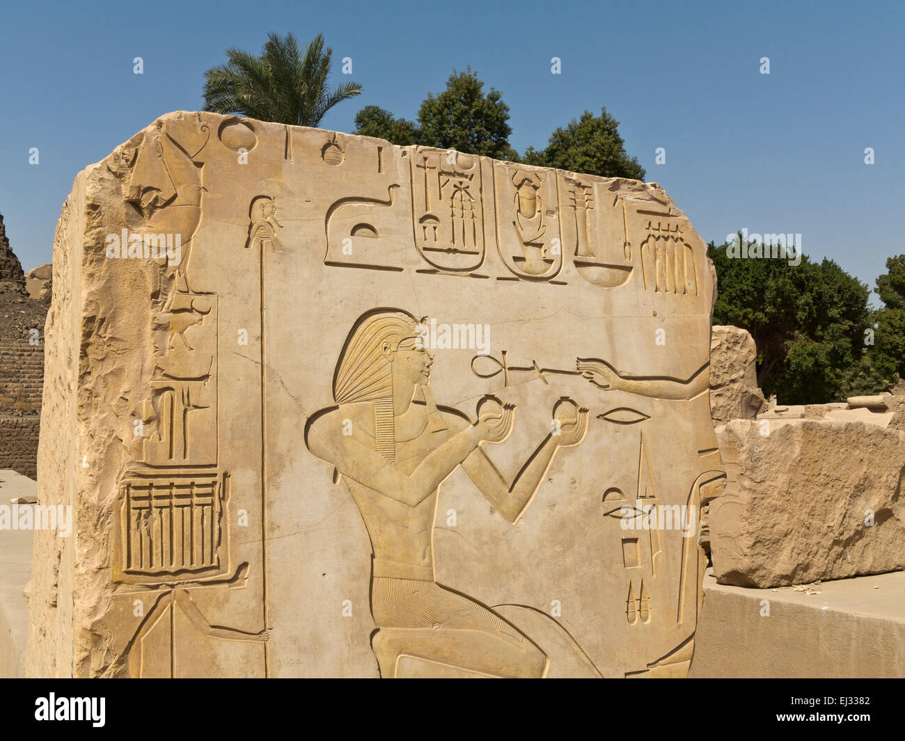 Nahaufnahme eines schönen Relief des Königs in einem Block in der Open Air Museum in Karnak Tempel Luxor, Oberägypten Stockfoto