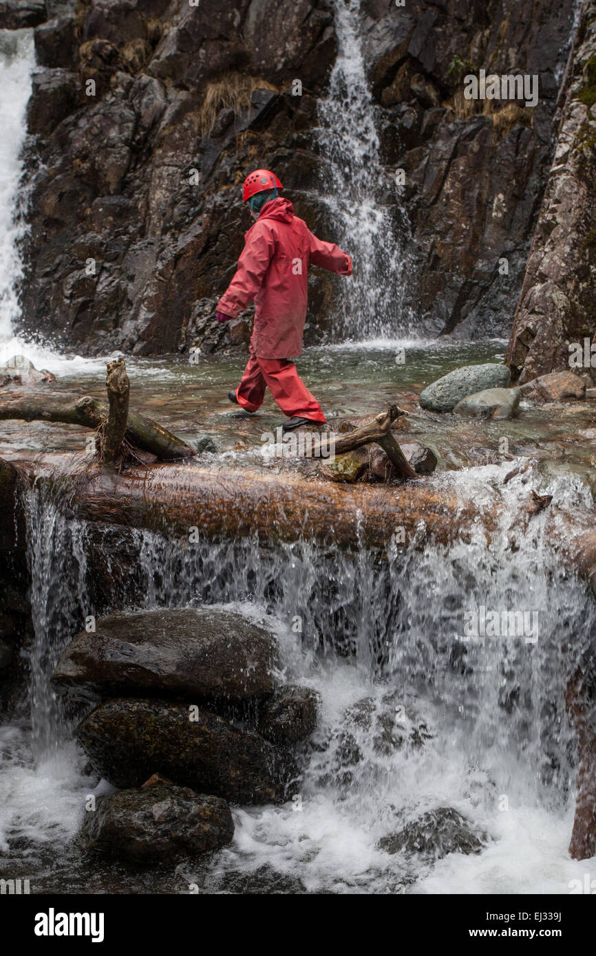 Eine einzelne weibliche Ghyll Scrambler Erkundung der Wasserfälle von scheut Ghyll Kraft in Great Langdale im englischen Lake District. Stockfoto