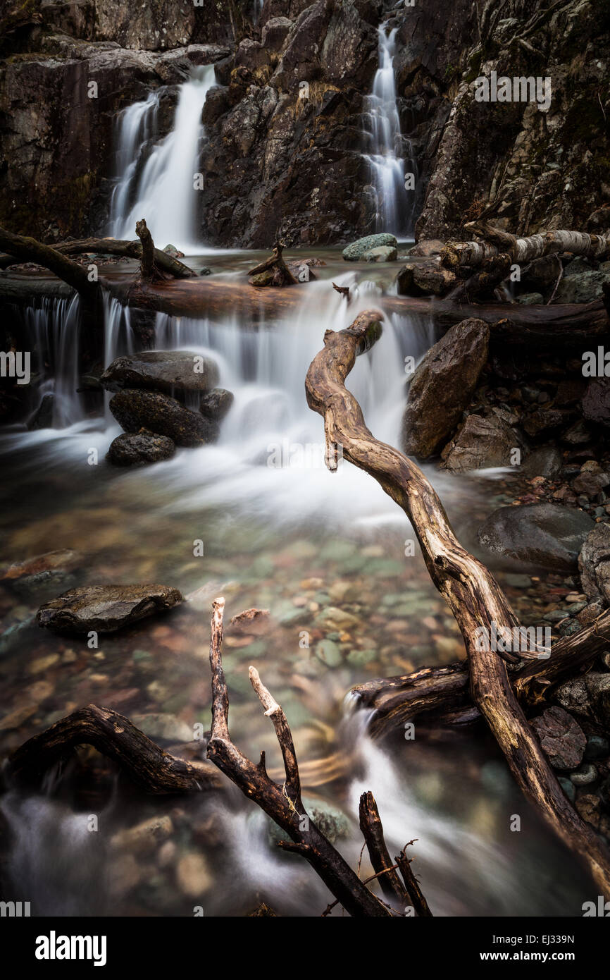 Scheut Ghyll Force Wasserfall in einem geheimen, einsamen Platz in Great Langdale im englischen Lake District, Cumbria Stockfoto