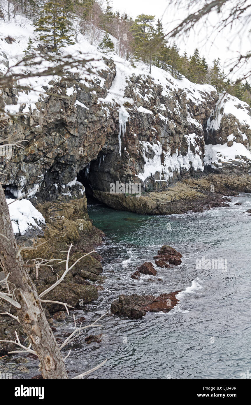 Eine Meereshöhle in den tief verschneiten Klippen von Acadia National Park, Maine. Stockfoto