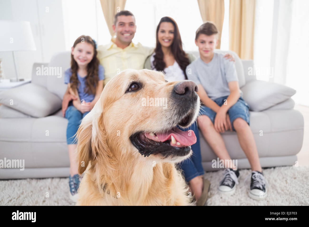 Hundesitting mit Familie zu Hause Stockfoto