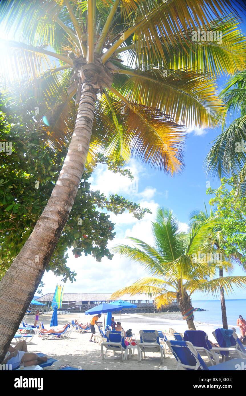 Tropischen Resort in Saint Lucia, Karibik Stockfoto