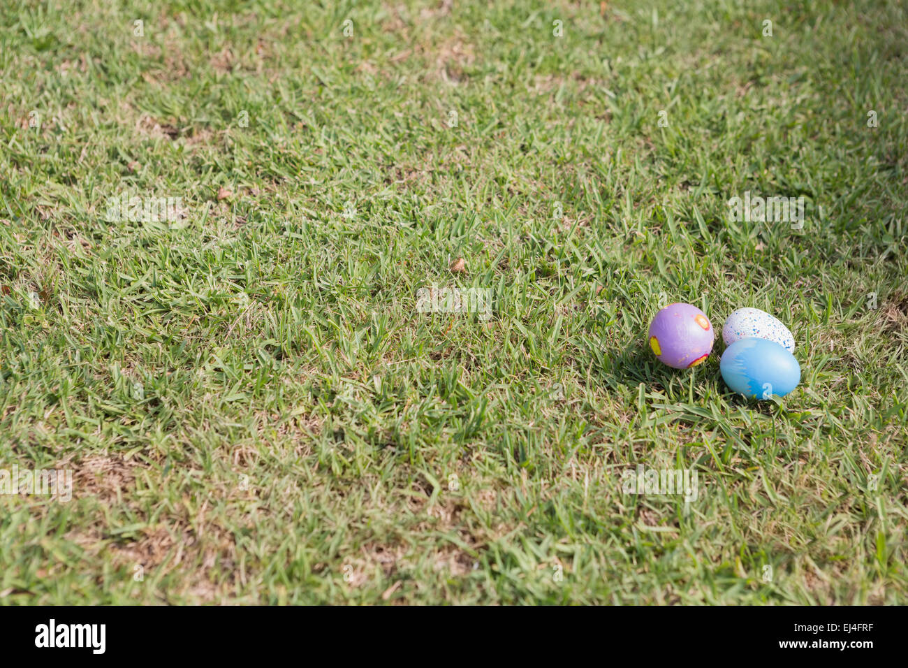 Ostereier im Gras Stockfoto