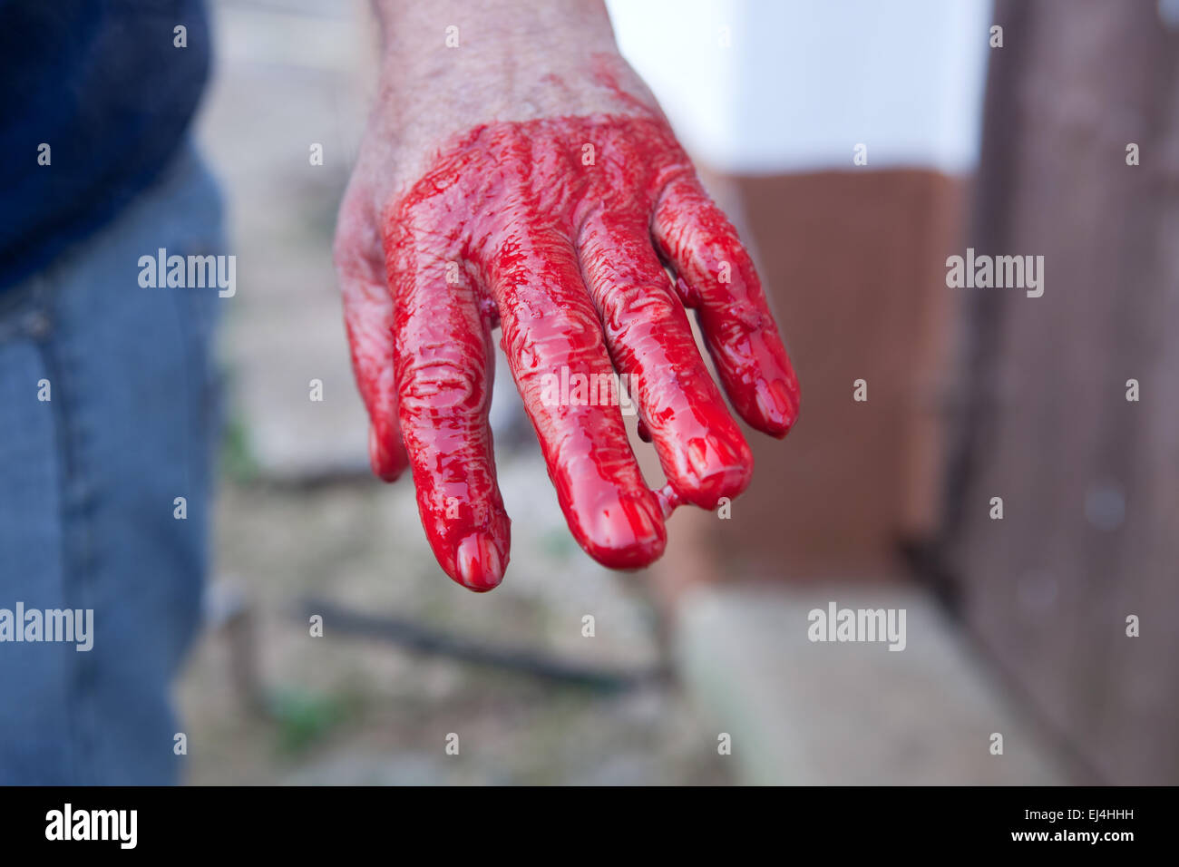 Traditionelle Haus Schlachten in einer ländlichen Gegend. Landwirt Hand nach Stiring Blut Stockfoto