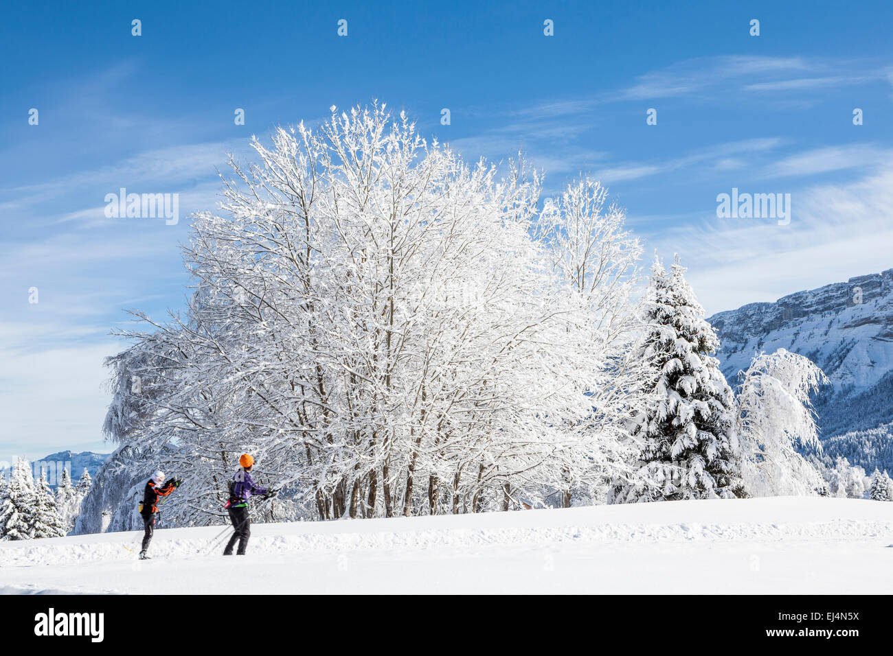 Skigebiet in La Feclaz, Savoie, Rhône-Alpes, Frankreich Stockfoto