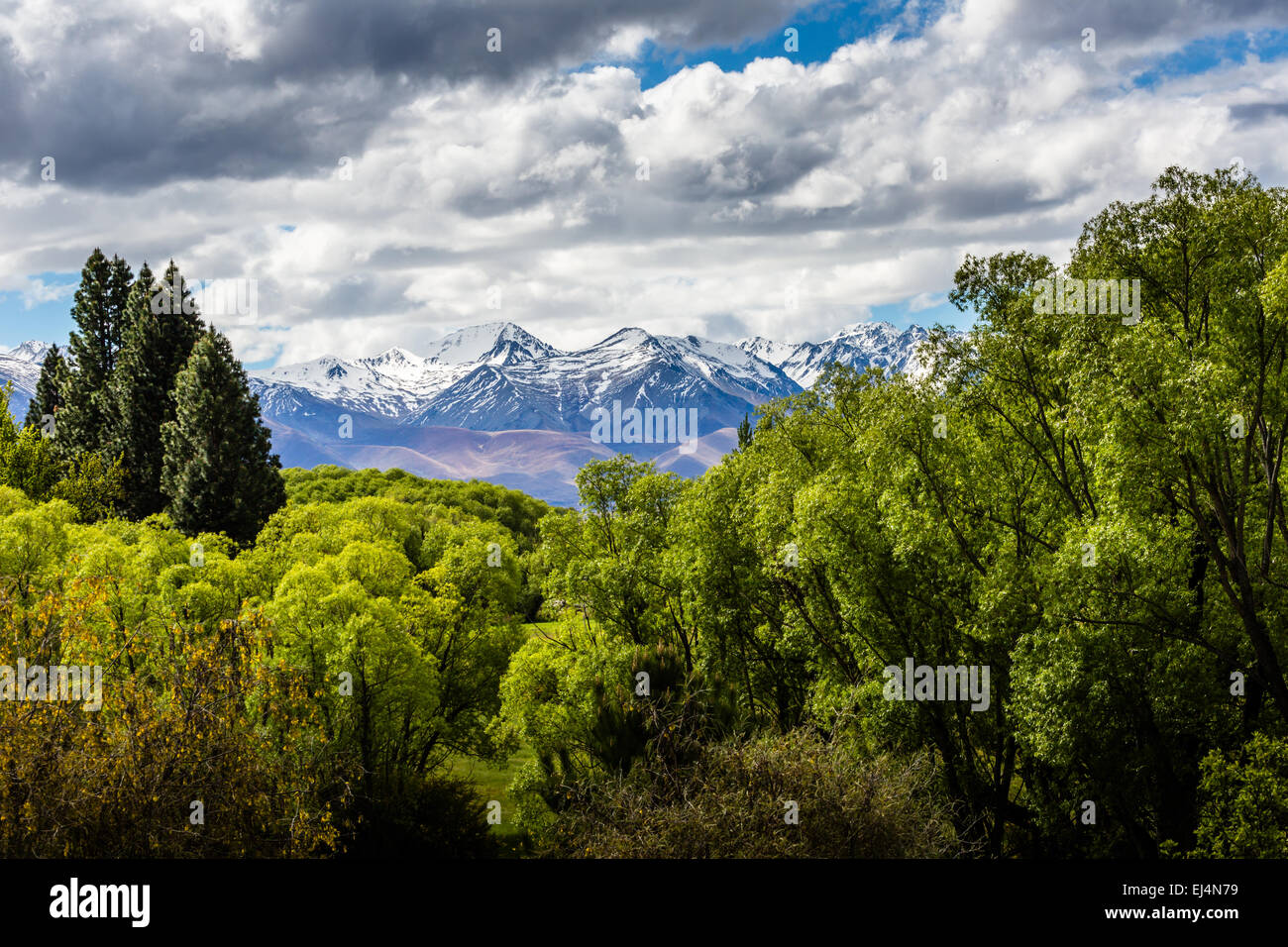 Ohau Talblick - Neuseeland Stockfoto