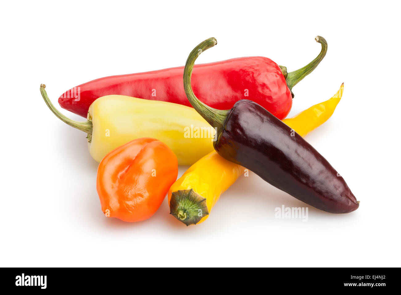 Chili-Pfeffer isoliert Stockfoto