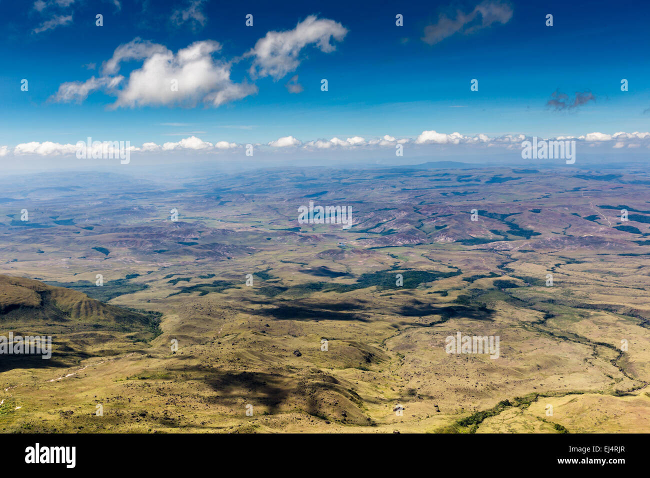 Verfolgen Sie nach Mount Roraima - Venezuela, Südamerika Stockfoto