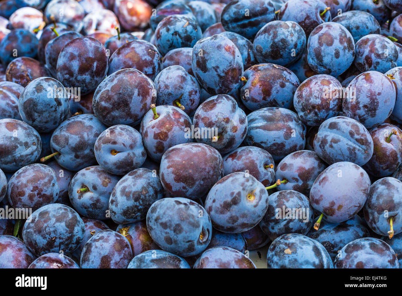 Pflaumen auf dem Markt stehen in Polen. Stockfoto