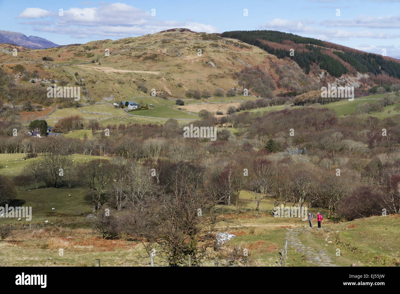 Zwei Wanderer auf dem Weg nach oben die Pony-Pfad auf Cadair Idris im südlichen Snowdonia, Nord-Wales Stockfoto