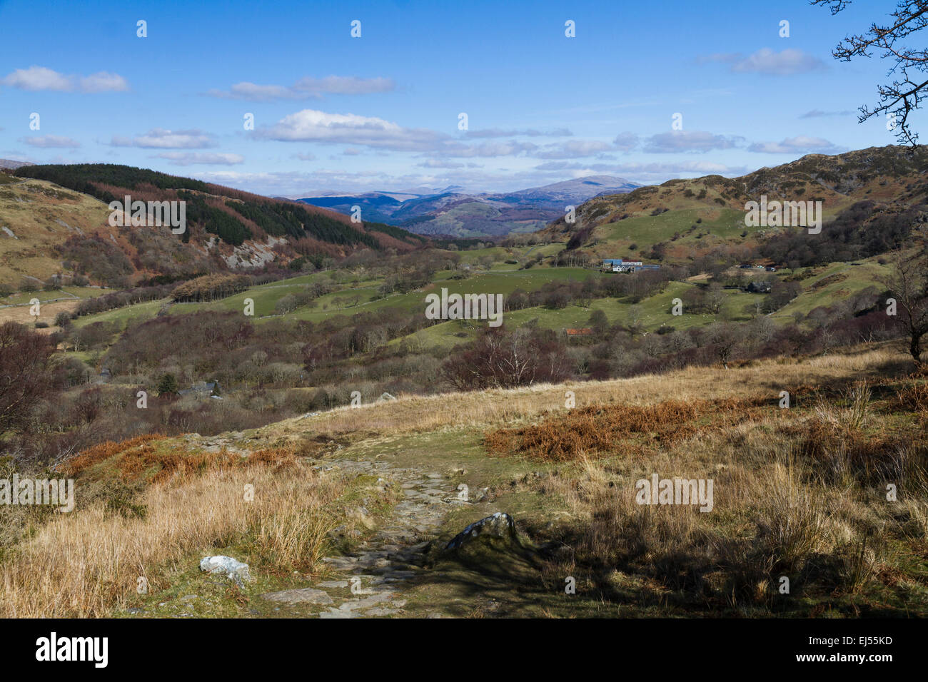 Blick auf dem Weg nach oben die Pony-Pfad auf Cadair Idris im südlichen Snowdonia, Nord-Wales Stockfoto
