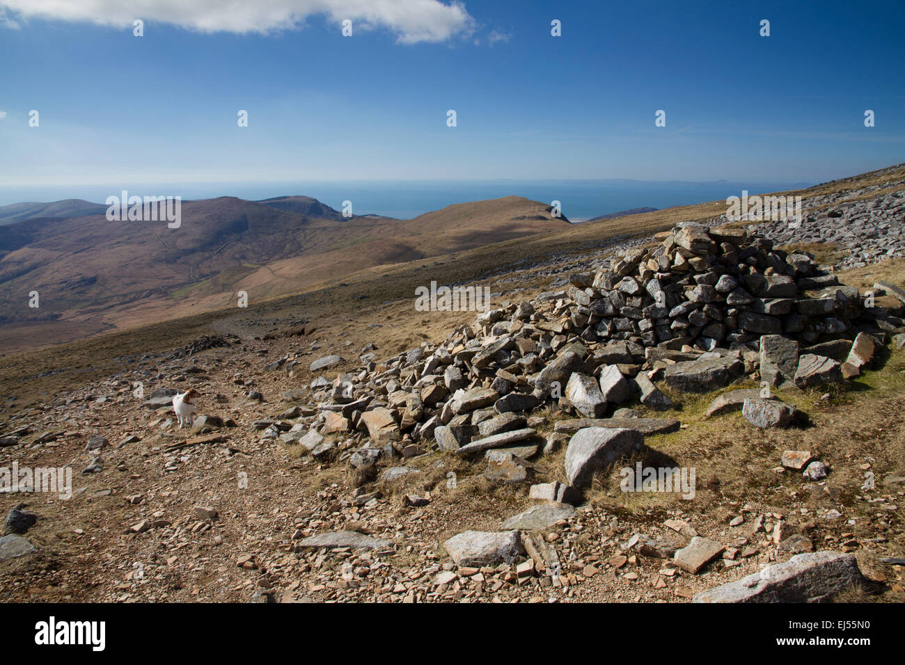 Blick auf dem Weg nach oben die Pony-Pfad auf Cadair Idris im südlichen Snowdonia, Nord-Wales Stockfoto
