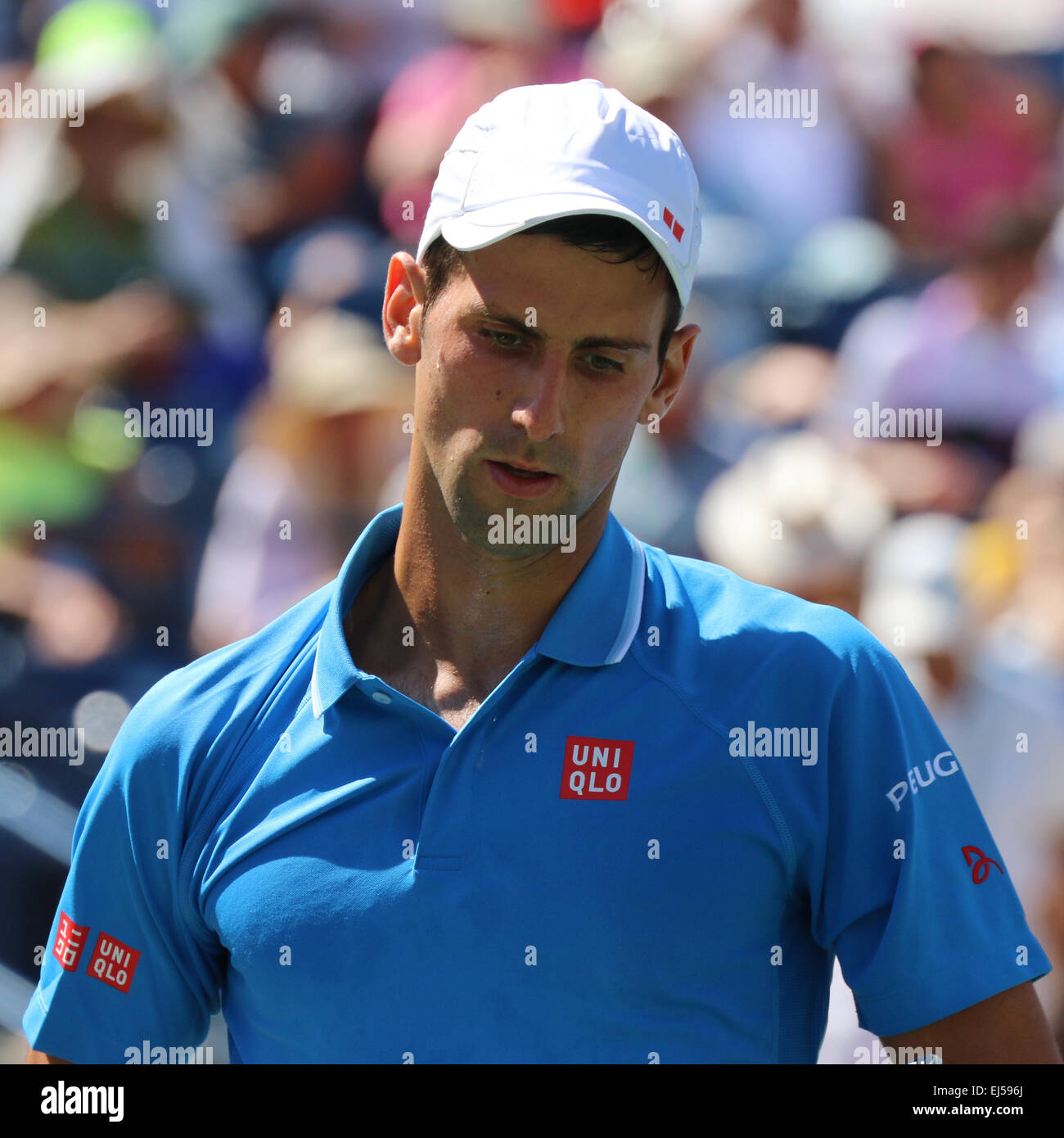 Indische Brunnen, Kalifornien, USA. 21. März 2015. Tennisspieler Novak Djokovic (Serbien) Niederlagen Brite Andy Murray im Halbfinale der Herren Einzel bei der BNP Paribas Open (Partitur 6-2 6-3). Bildnachweis: Werner Fotos/Alamy Live-Nachrichten Stockfoto