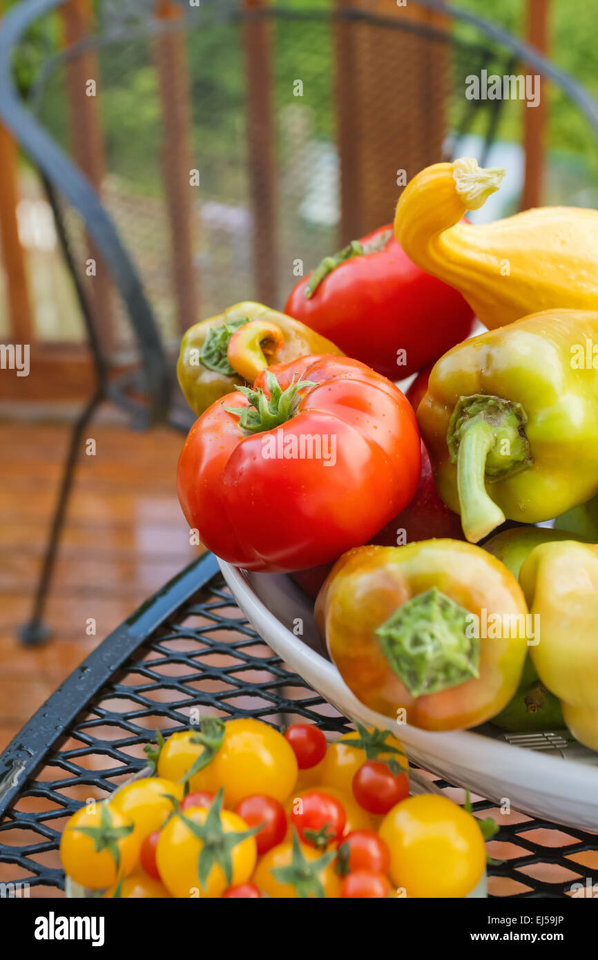 Schüssel mit frischen Produkten, einschließlich rote Tomaten, Paprika Gypsy Hybrid und Crookneck Sommerkürbis Stockfoto