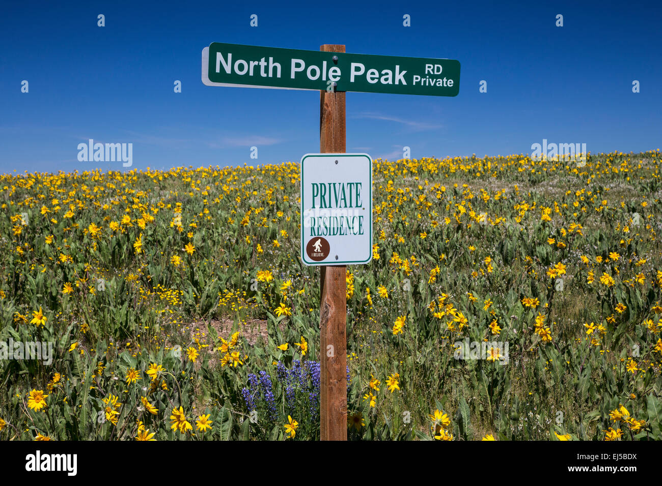North Pole Peak Rd., Hastings Mesa, in der Nähe von Ridgway, Colorado, USA Stockfoto