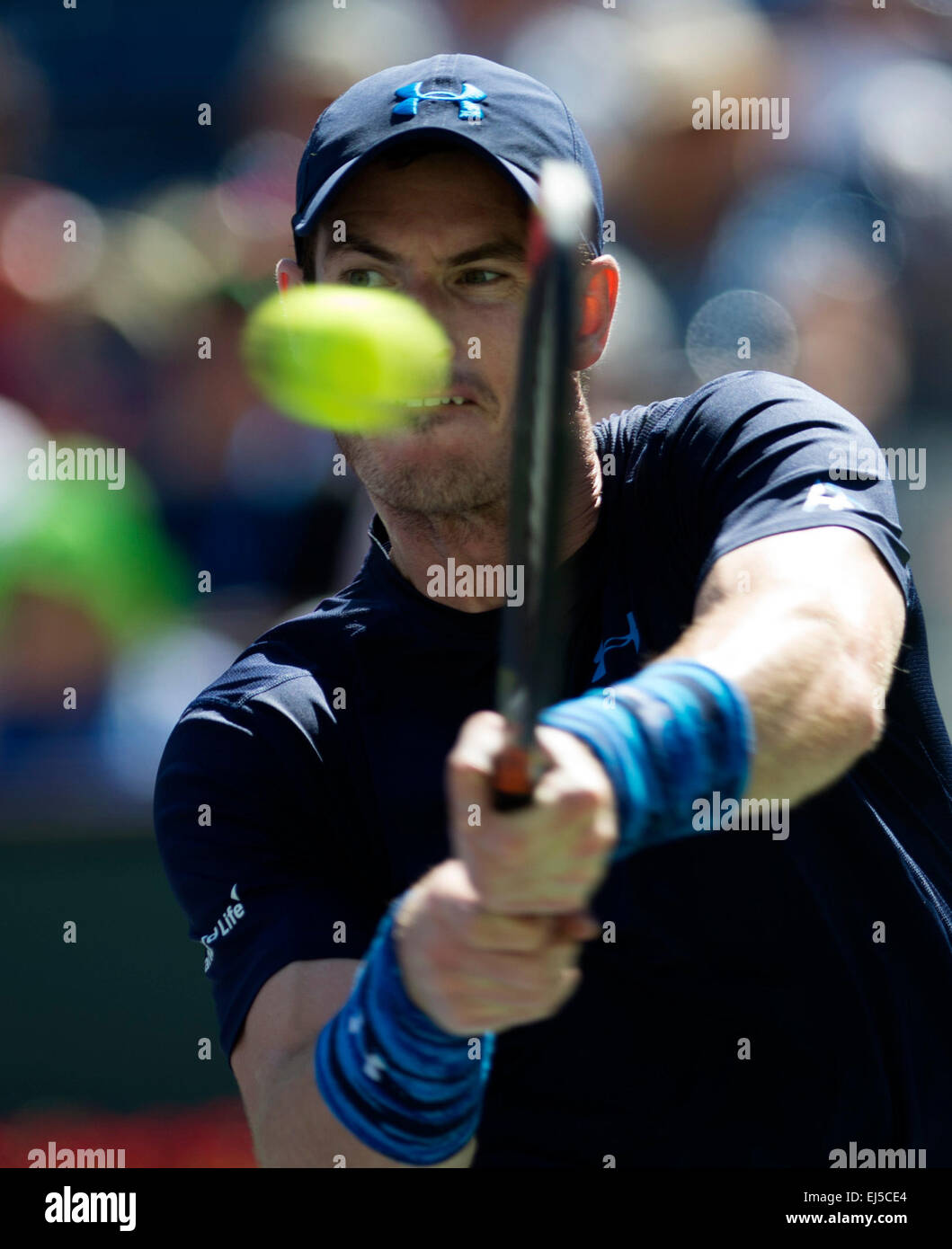 (150322)--INDIAN WELLS, MÄRZ. 22, 2015 (Xinhua)--Andy Murray aus Großbritannien kehrt den Ball während der Herren Halbfinale gegen Novak Djokovic Serbien auf der BNP Paribas Open Tennis bei den Indian Wells Tennis Garden in Indian Wells, Kalifornien, USA am 21. März 2015. Murray verlor 0: 2. (Xinhua/Yang Lei) Stockfoto