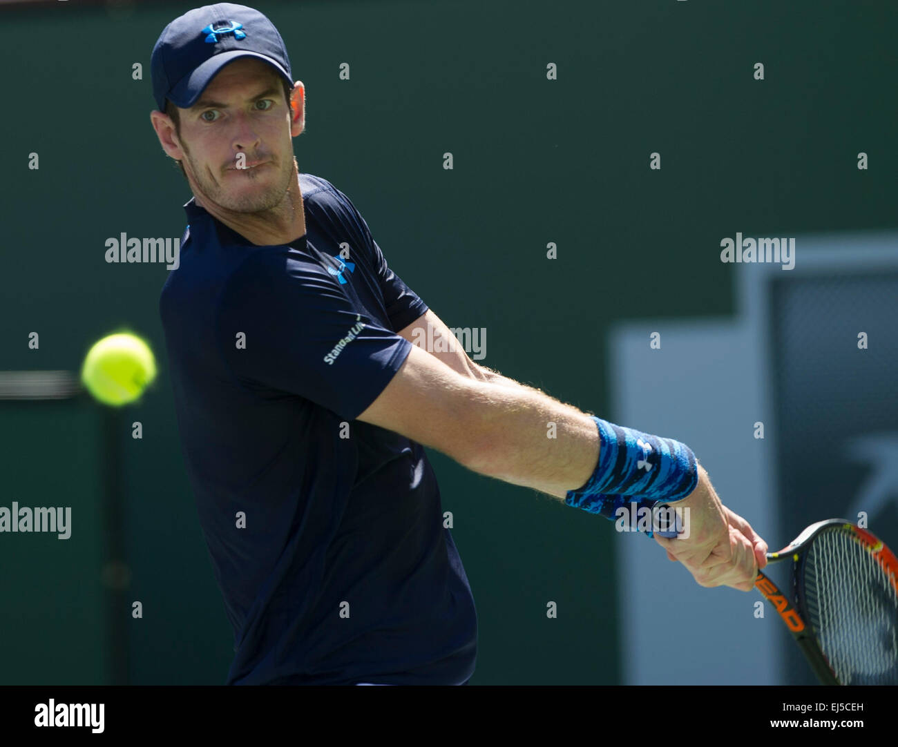 (150322)--INDIAN WELLS, MÄRZ. 22, 2015 (Xinhua)--Andy Murray aus Großbritannien kehrt den Ball während der Herren Halbfinale gegen Novak Djokovic Serbien auf der BNP Paribas Open Tennis bei den Indian Wells Tennis Garden in Indian Wells, Kalifornien, USA am 21. März 2015. Murray verlor 0: 2. (Xinhua/Yang Lei) Stockfoto