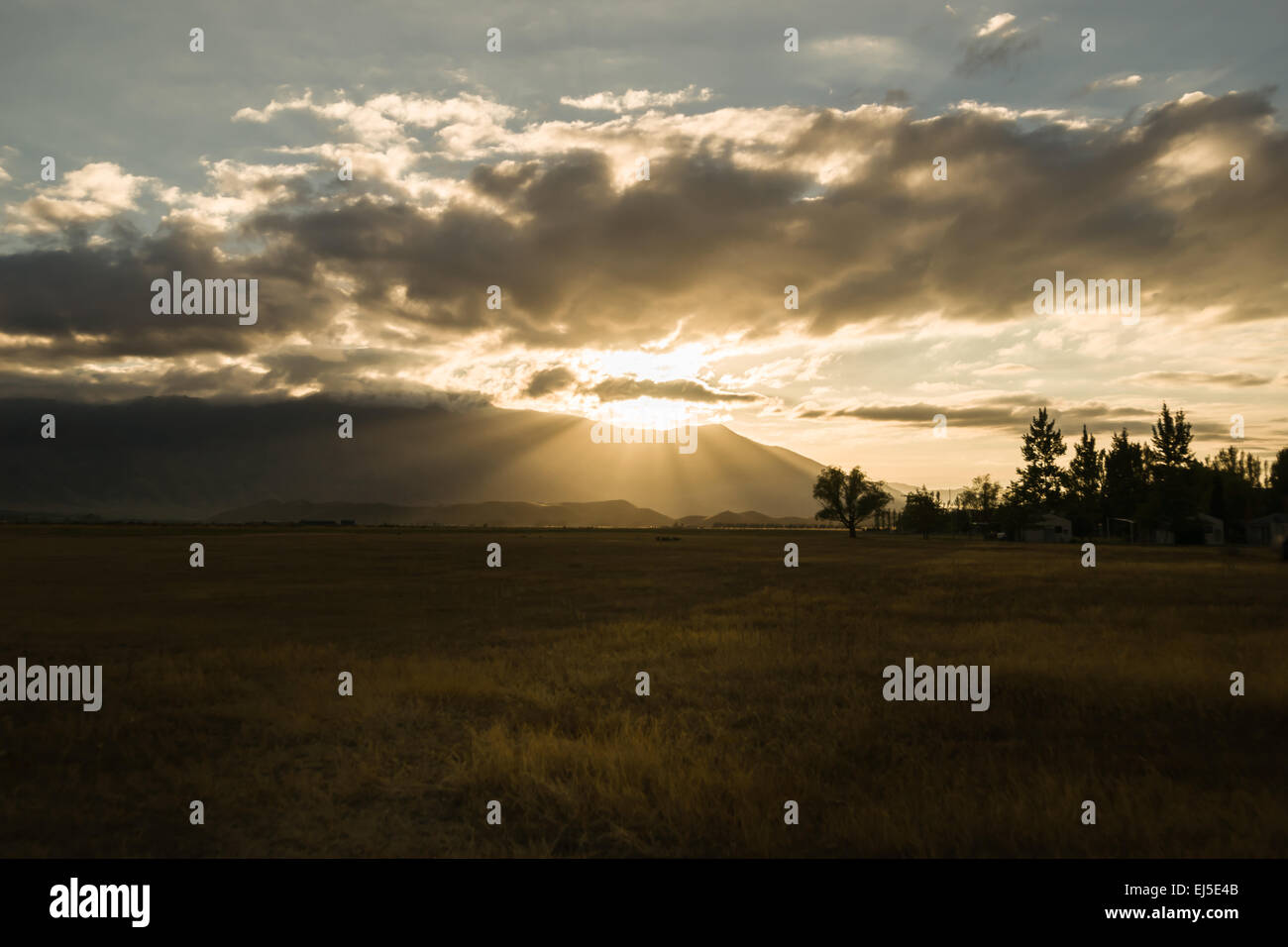 Benmore Reichweite und dunklen Stimmungsvoller Himmel, Omarama, Central Otago bei Sonnenaufgang. Die trockenen Goldene Feld fängt Sonnenlicht im Vordergrund. Stockfoto