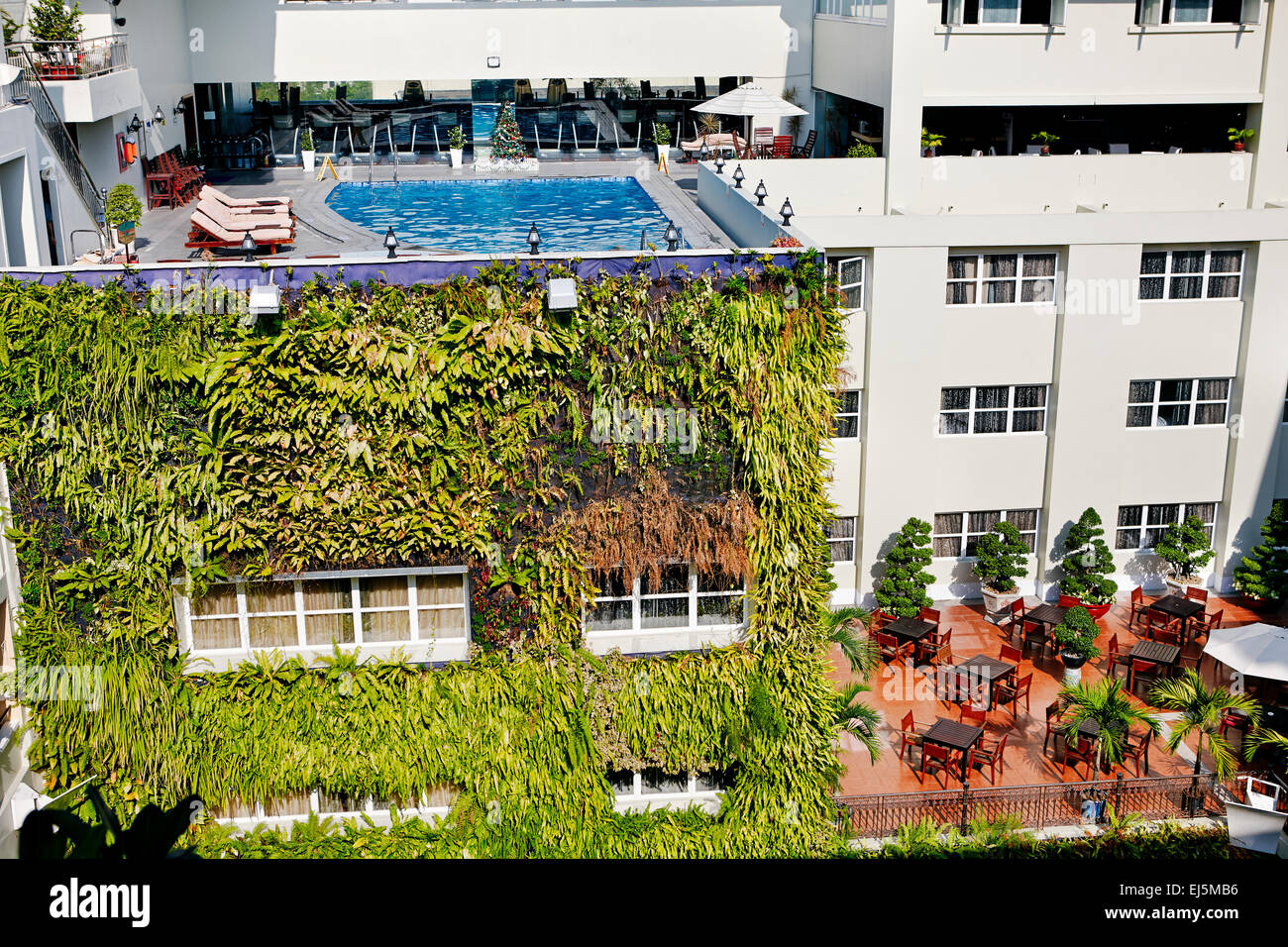 Der Pool auf dem Dach in der historischen Rex Hotel. District 1, Ho Chi Minh City, Vietnam. Stockfoto