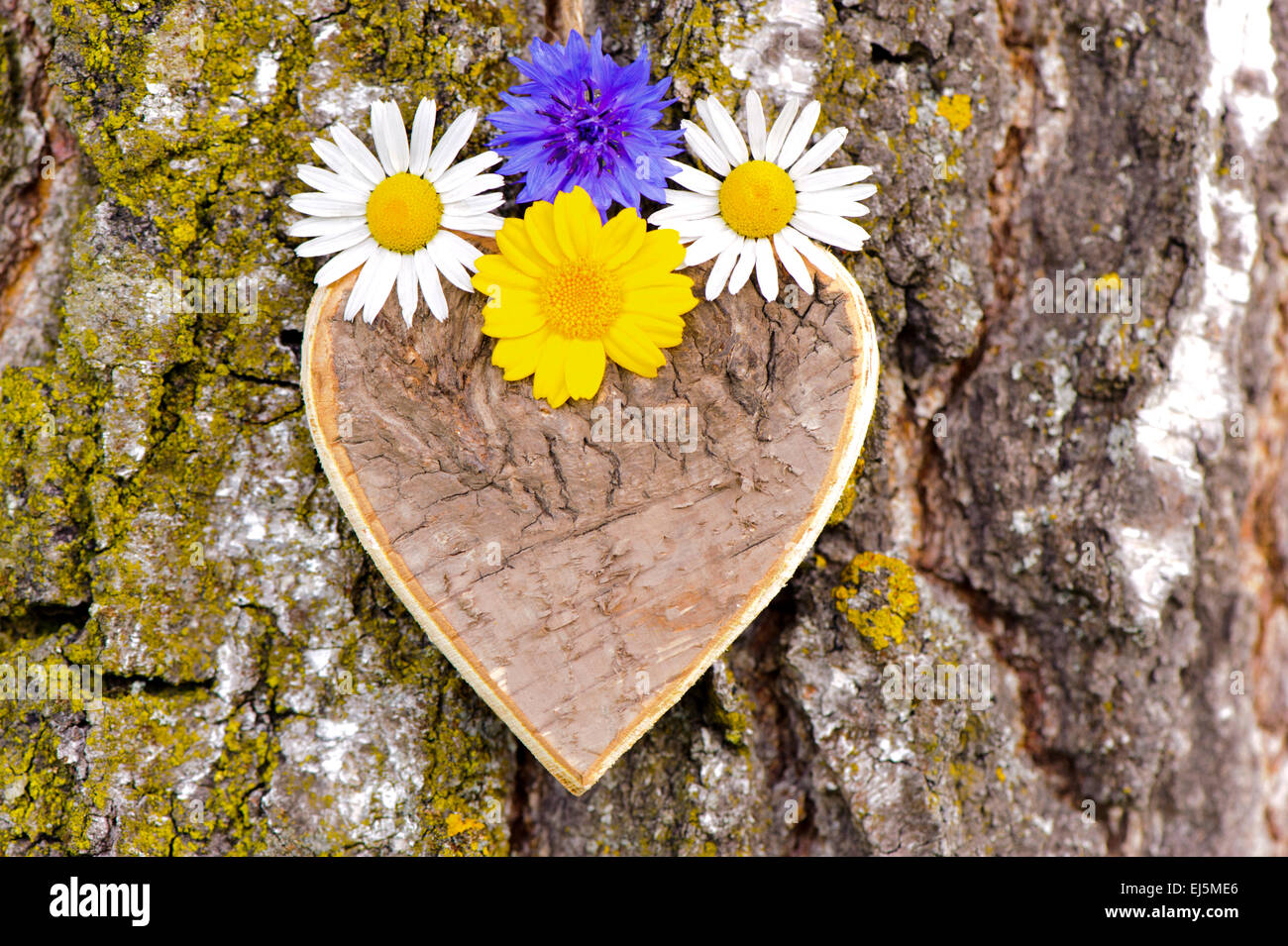 geschnitzte hölzerne Herz an Baumrinde als Symbol für Romantik und Liebe Stockfoto