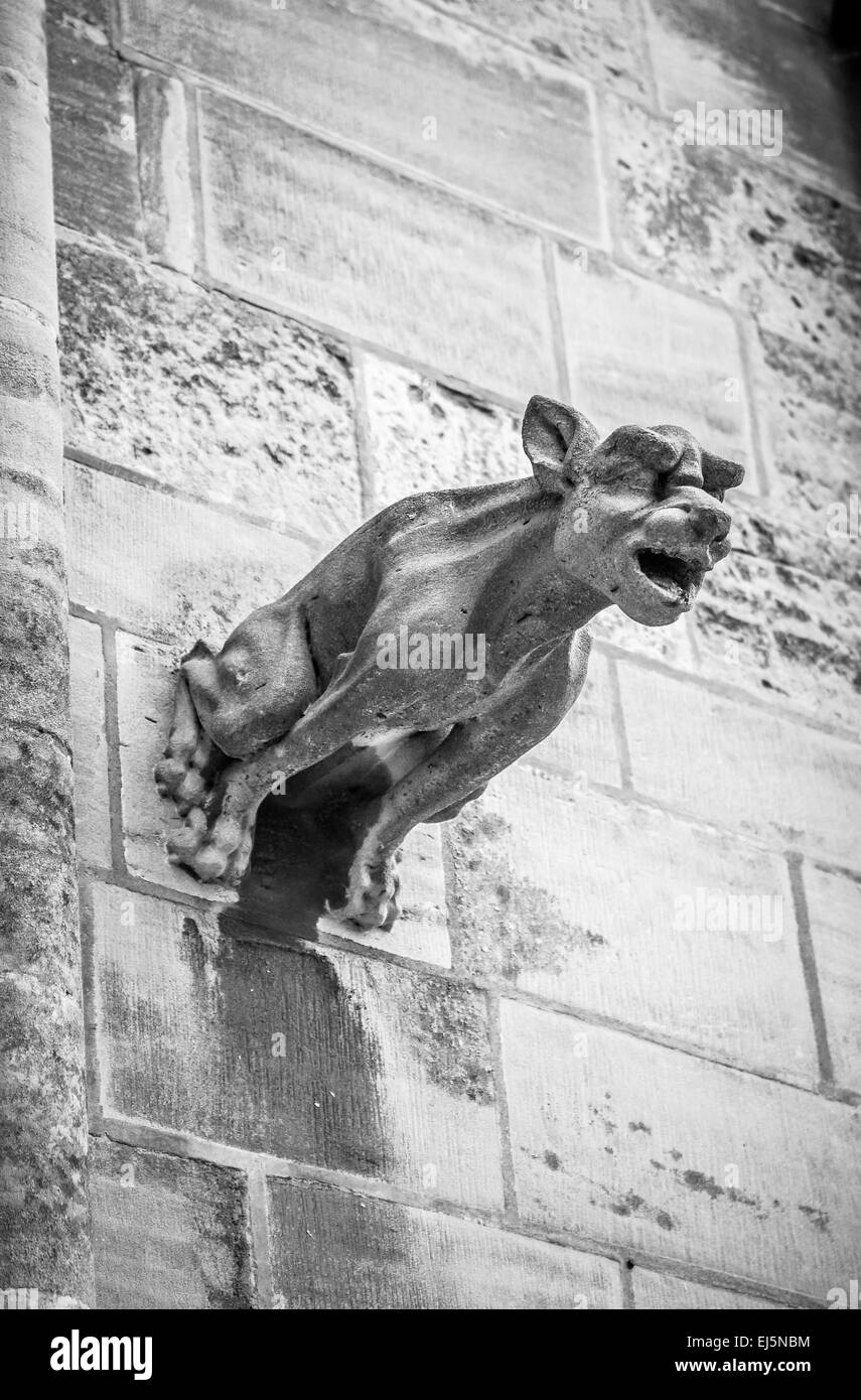 Diese wilden aussehenden Hund-ähnliche Kreatur, zur Abwehr von bösen gemeint ist eine groteske, kein Wasserspeier an der Kathedrale von Bayeux. Stockfoto