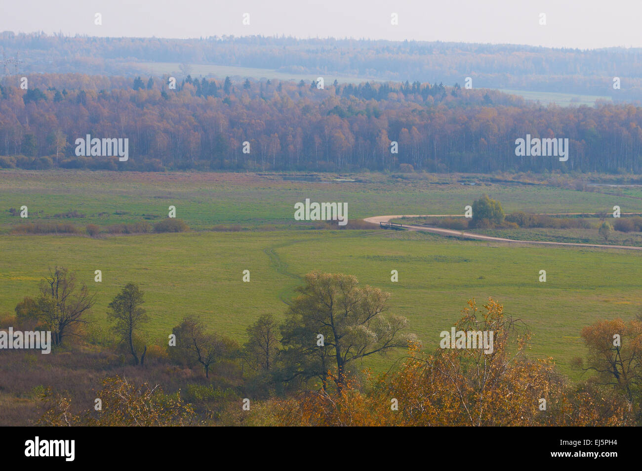 Herbstliche Landschaft. Trübe Aussicht über Feld und Wald Stockfoto