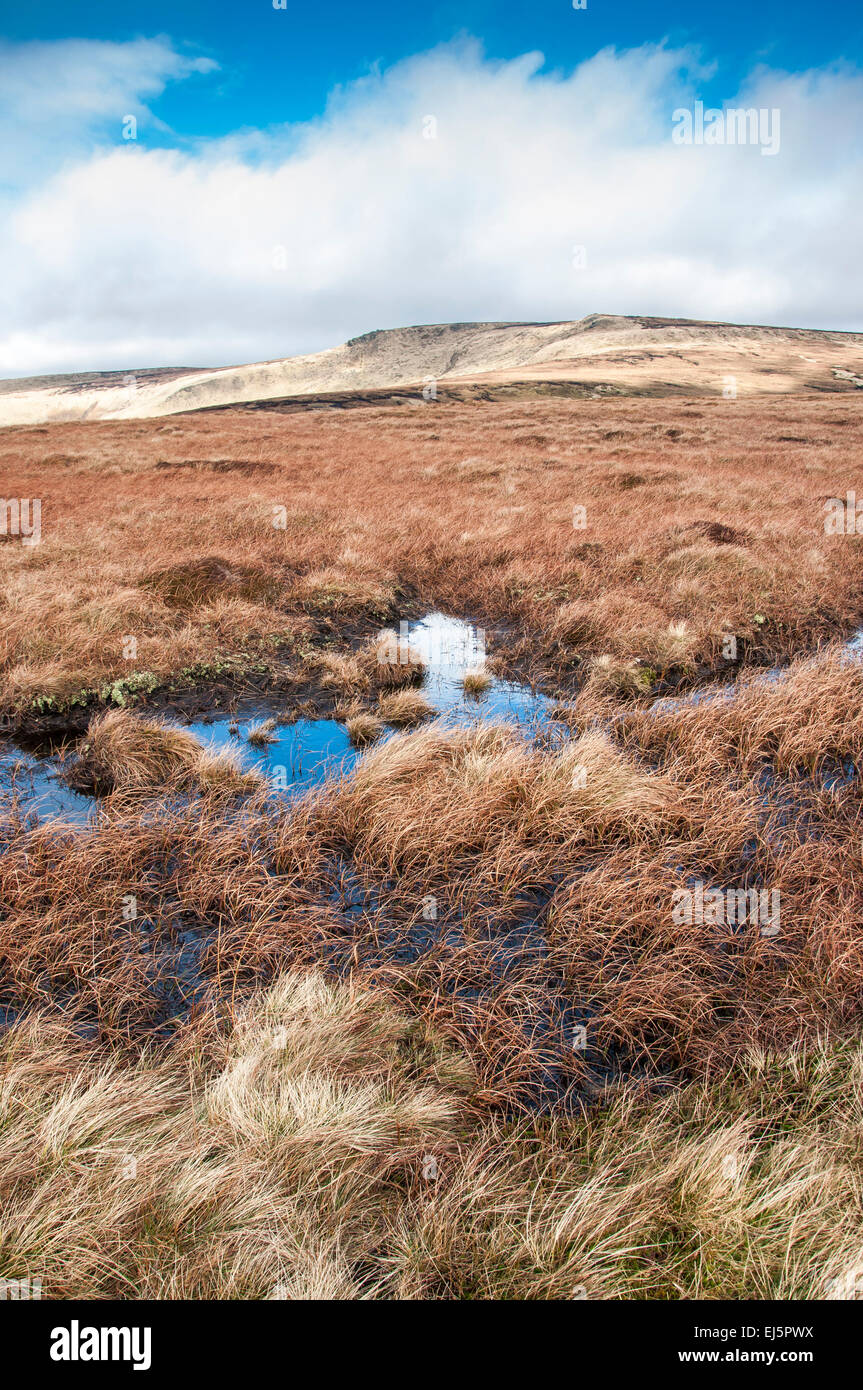 Nassen Moorlandschaft auf Bleaklow oben Glossop, Derbyshire. Stockfoto