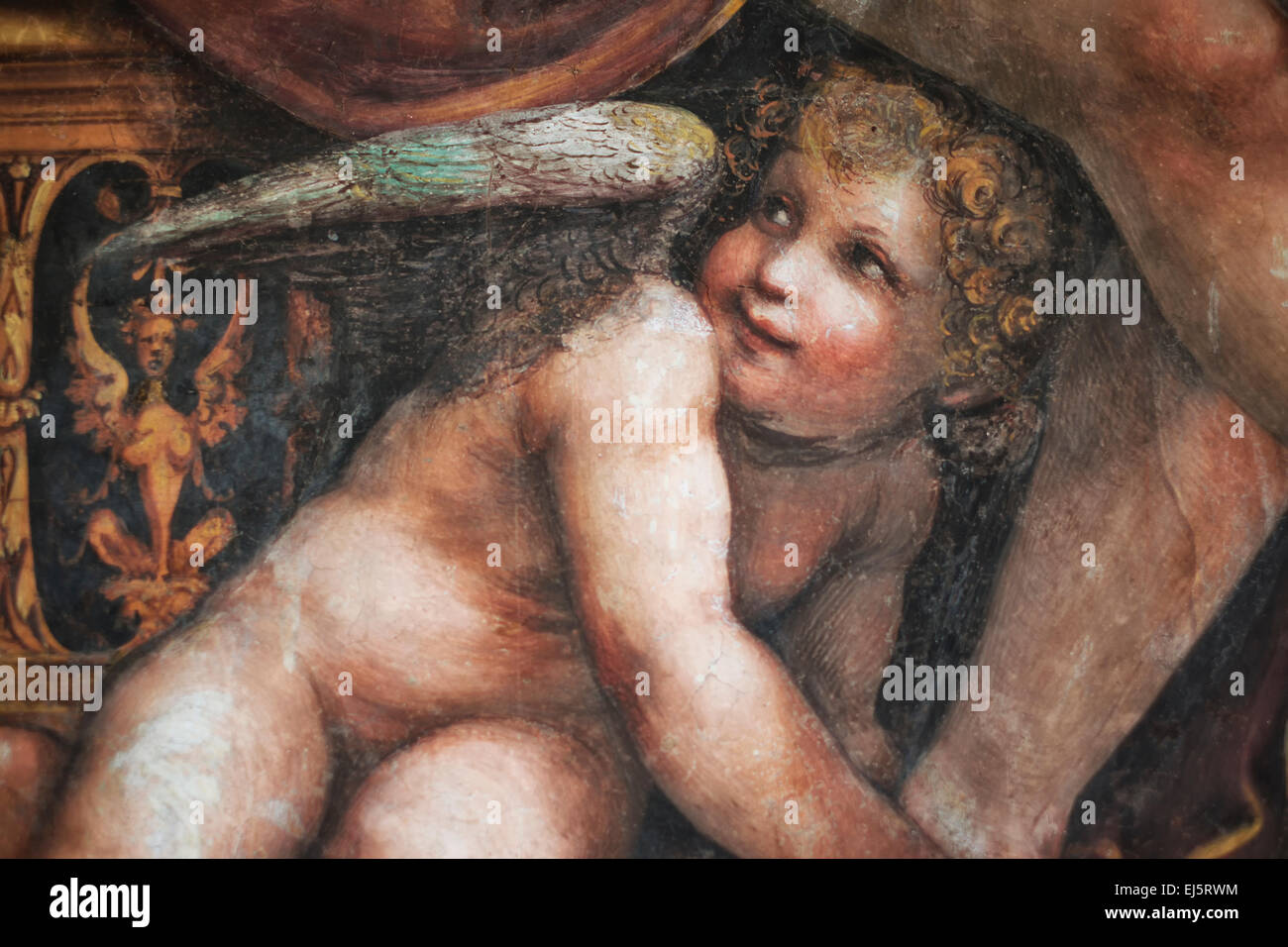 Fresko des Amor (Putto) in den Raum der Hochzeit von Alexander und Roxana. Villa Farnesina, Rom, Italien. Stockfoto