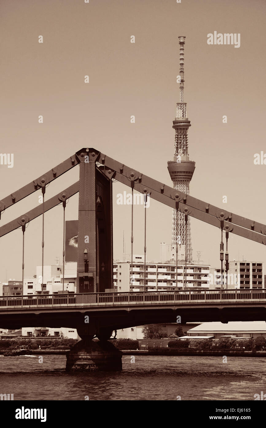 Was Ist Ein Ballungsraum TOKYO, JAPAN - Mai 15: Skytree als das Wahrzeichen der Stadt am 15. Mai
