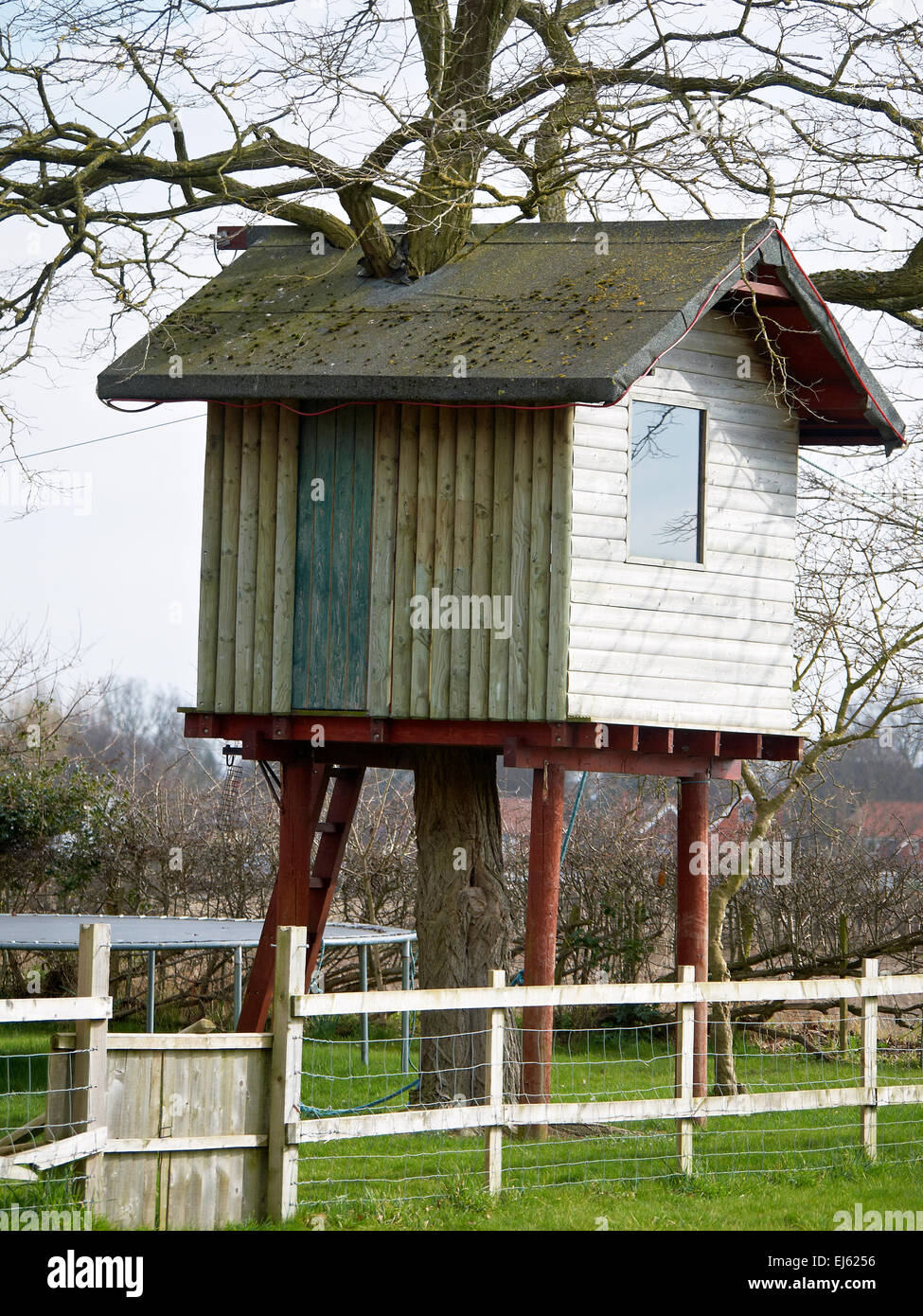 Baumhaus Schuppen in Baum gebaut, Khshire UK Stockfoto