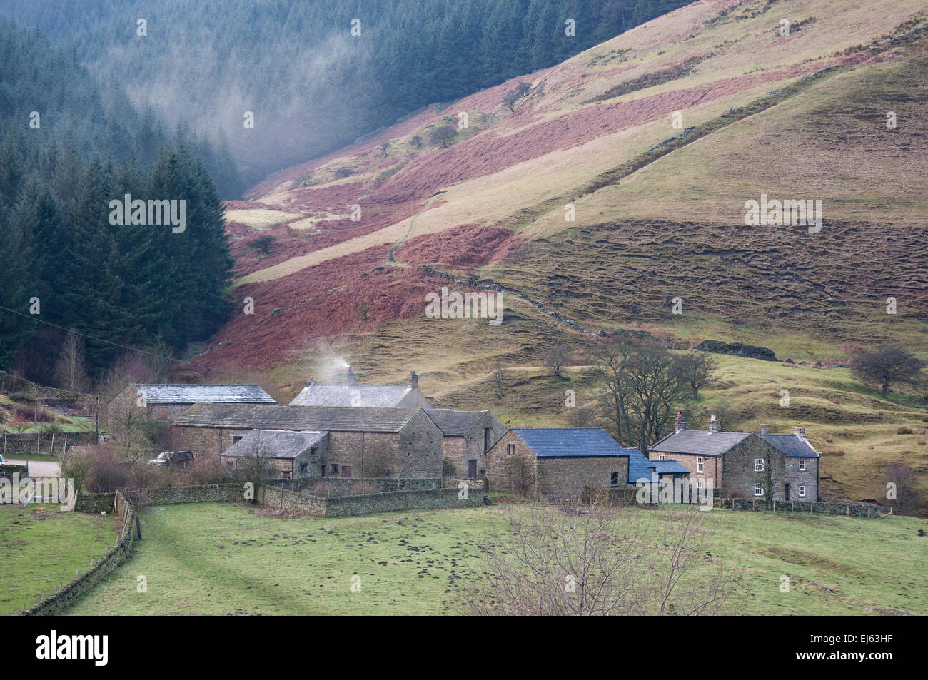 Alport Bauernhof im Tal Alport, Peak District, Derbyshire. Stockfoto